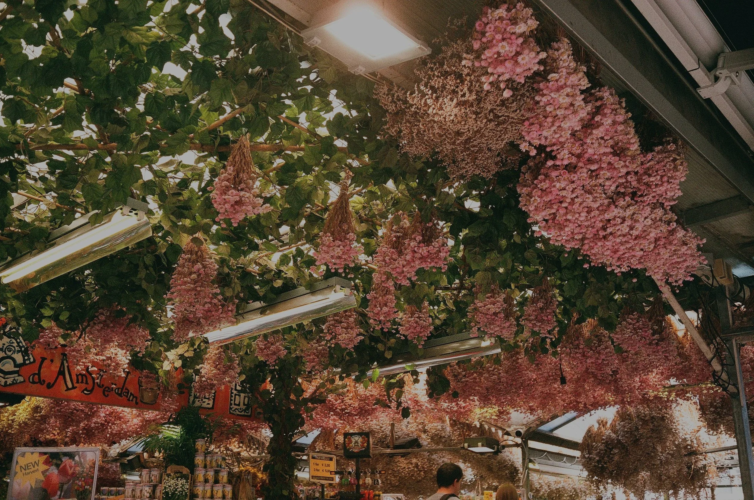 Indoor market decorated with hanging pink hydrangea flowers and green foliage, with people shopping underneath. Fluorescent lights illuminate the area.