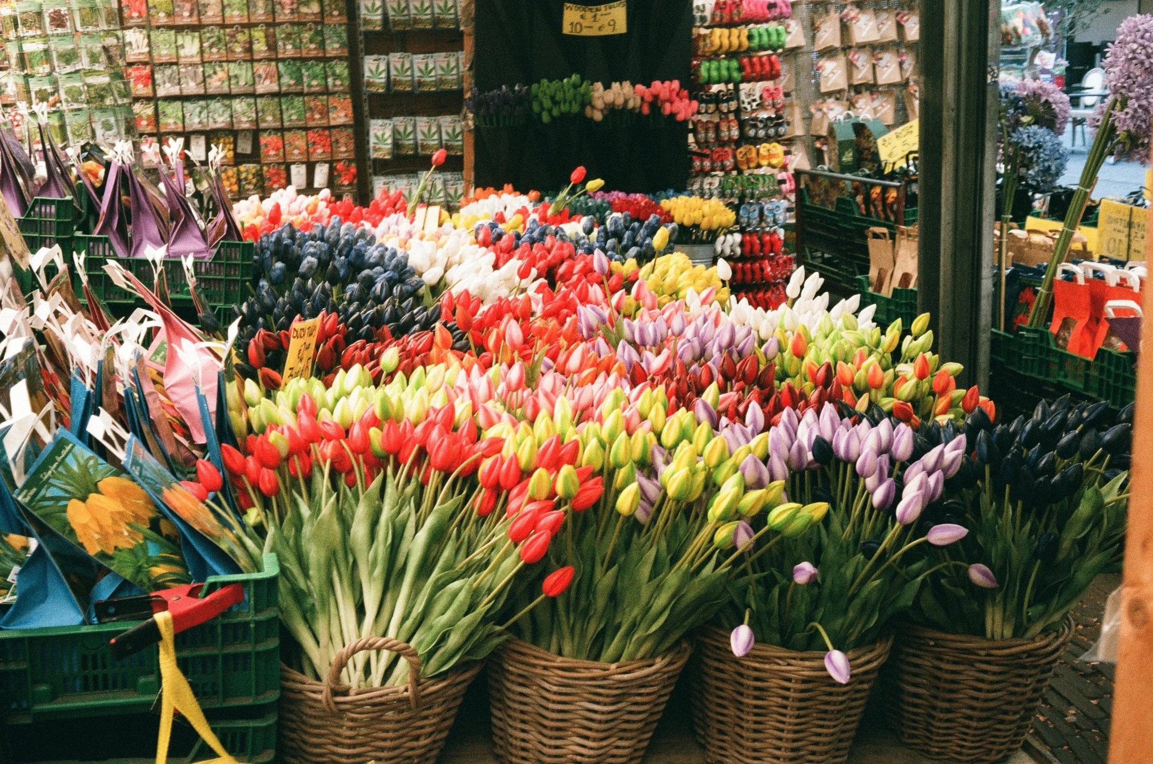 Baskets filled with colorful tulips displayed at a flower stand in a market.