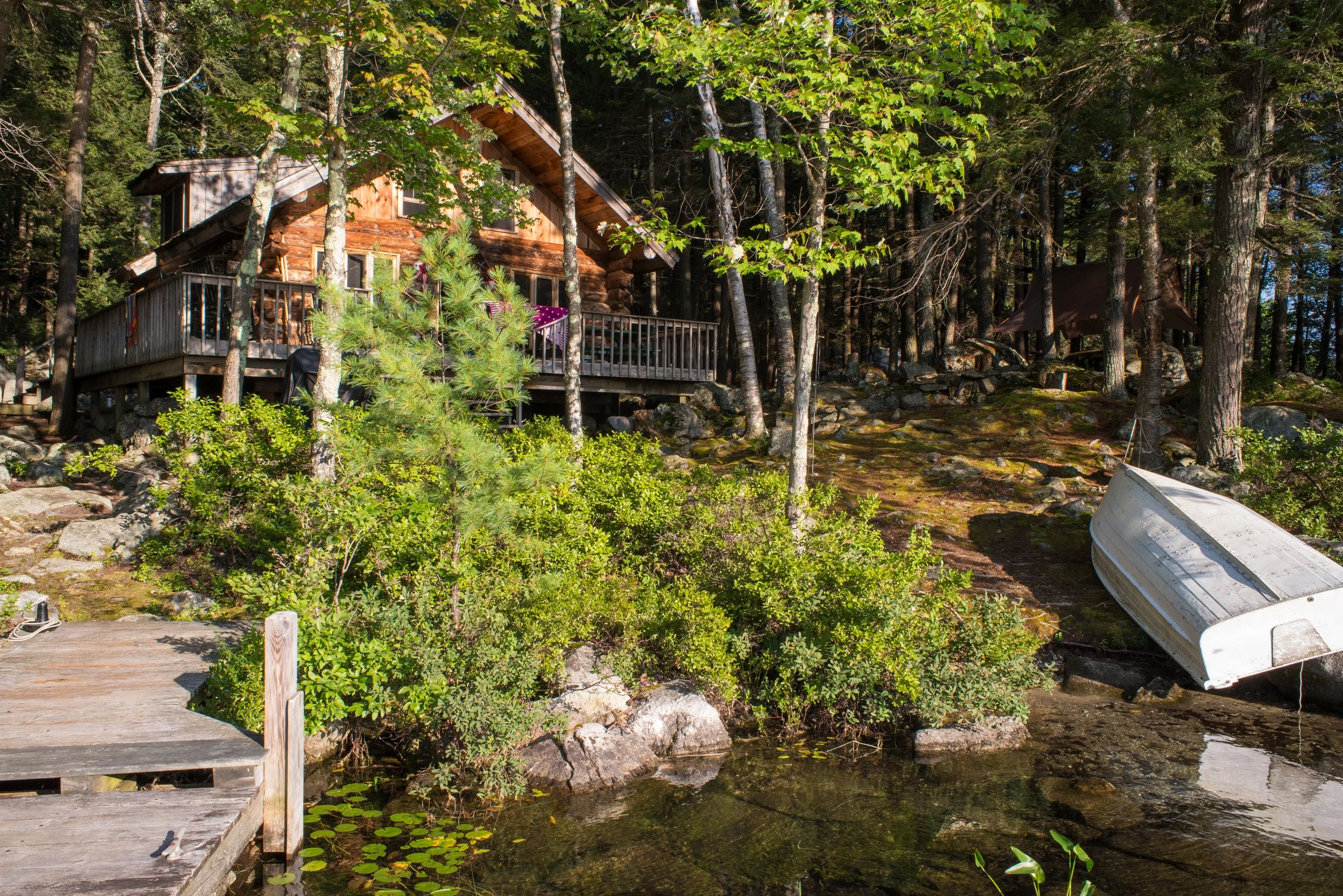 A wooden cabin with a deck on a forested hillside, beside a small pond with lily pads. An upside-down boat hangs over the water, and a small dock extends into the pond. Tall trees surround the scene.