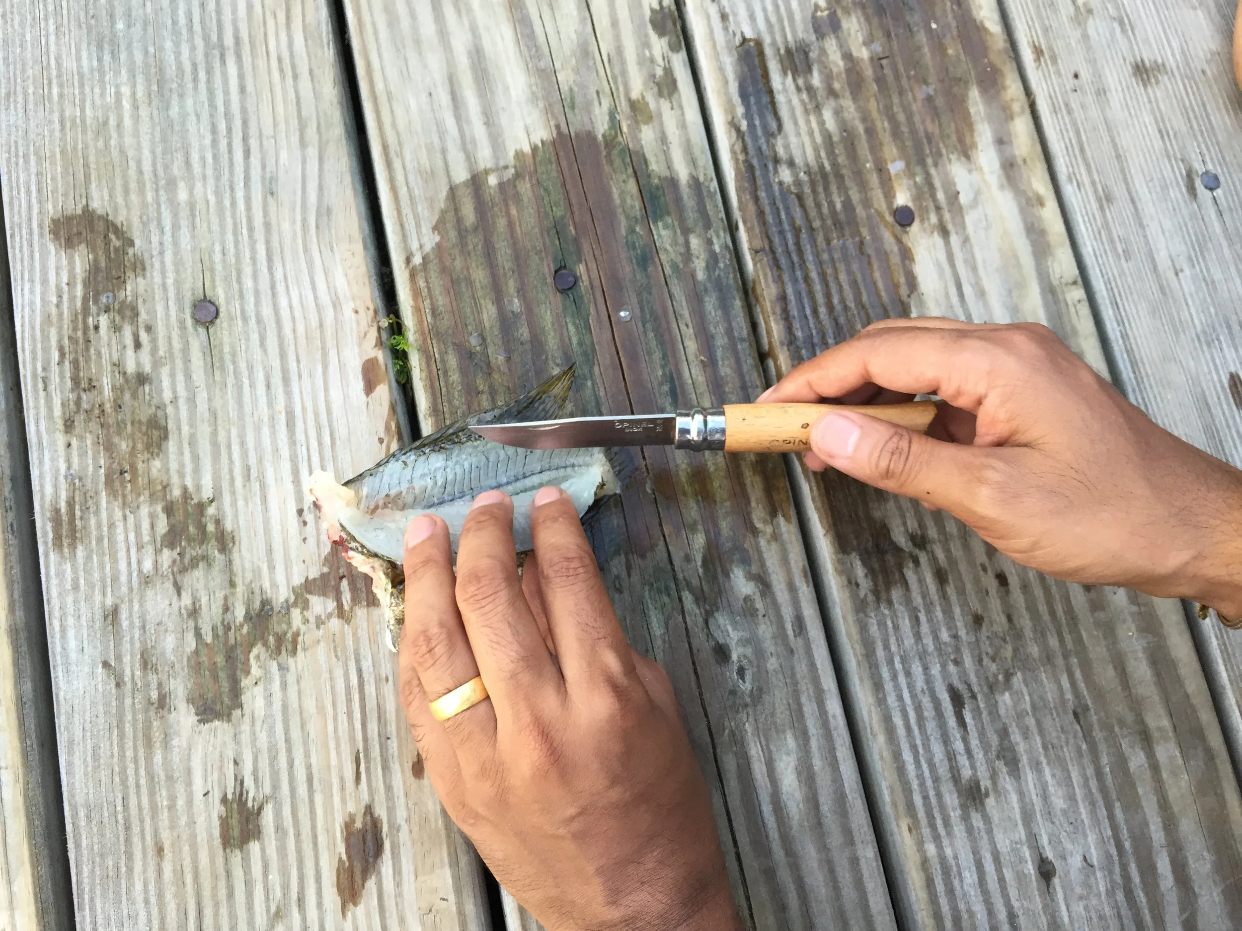 Person cleaning fish on a wooden dock with knife.