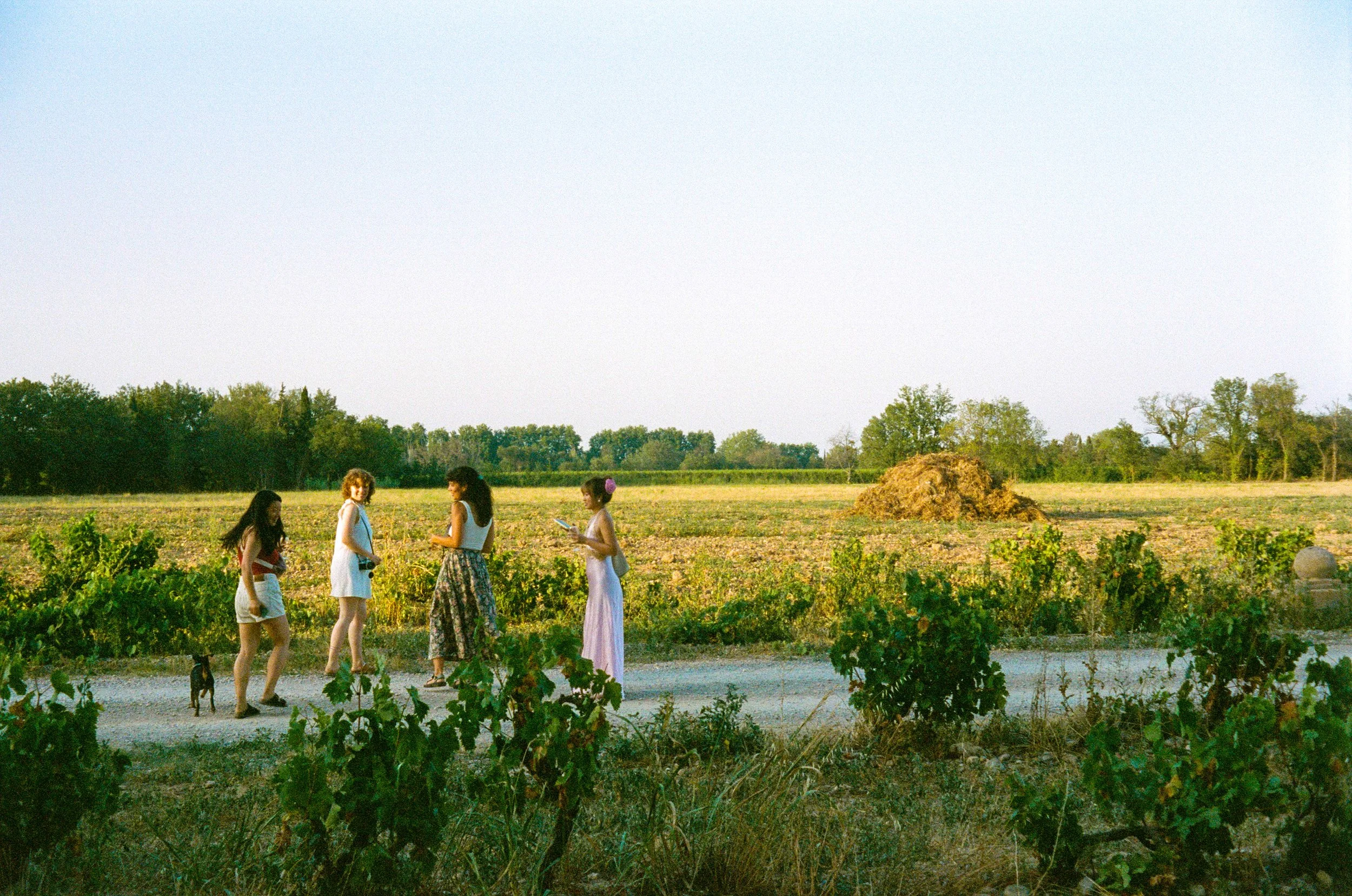Cinq femmes et un chien marchant le long d'une route dans un champ rural en été, avec des arbres en arrière-plan.