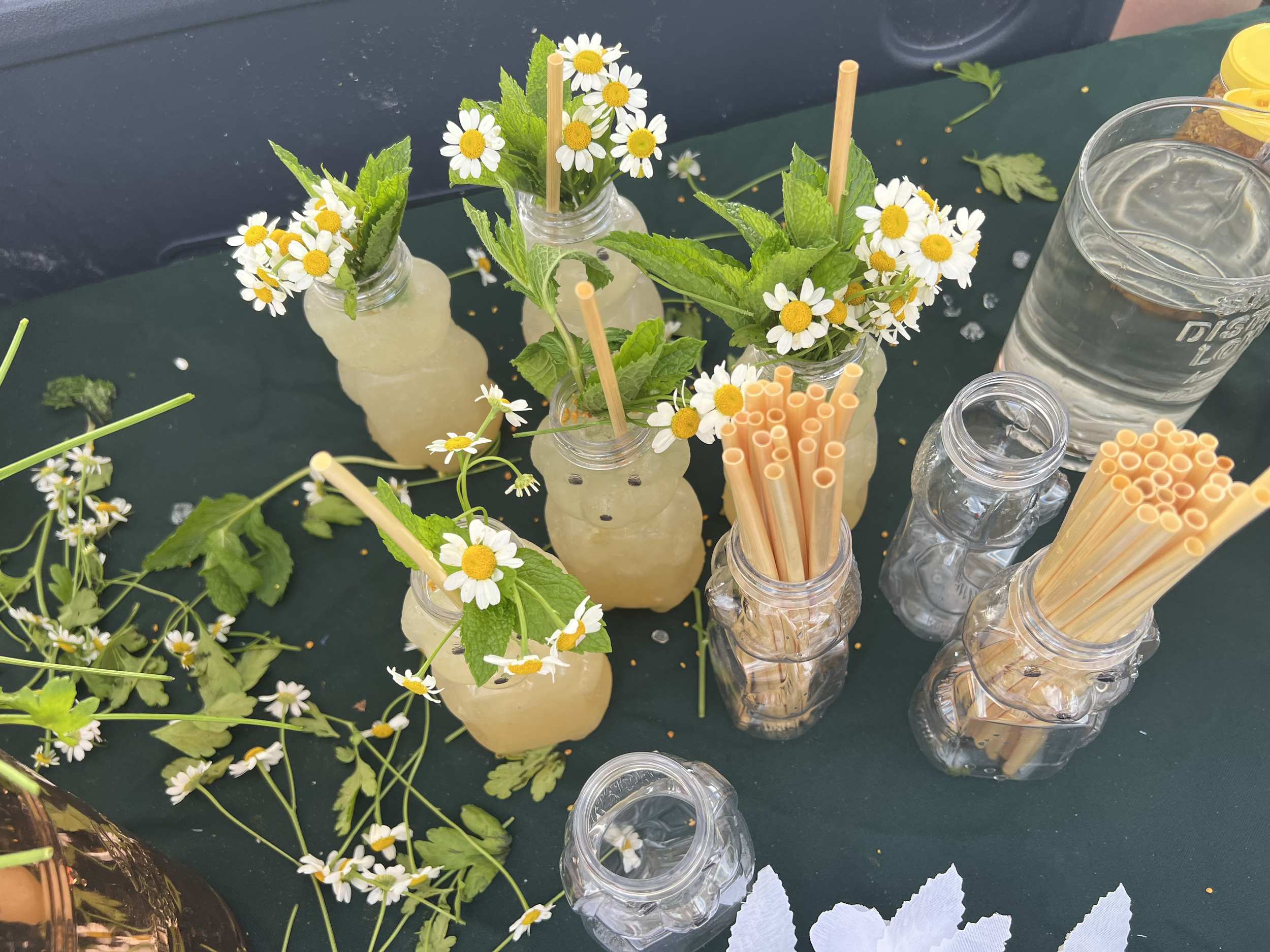 Save The Bees | Gin, Orange Marmalade, Nonino, Honey, Lemon, Chamomile, Local Bee Pollen | *Winner of 2022 Beach Bash - St Petersburg