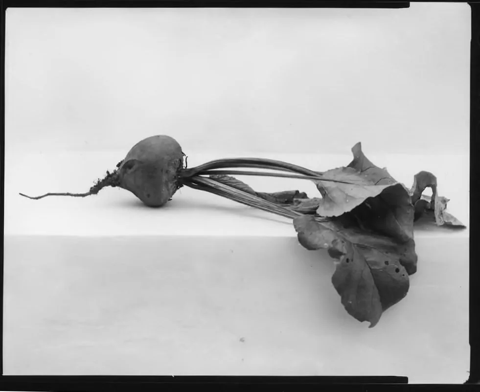 Beetroot