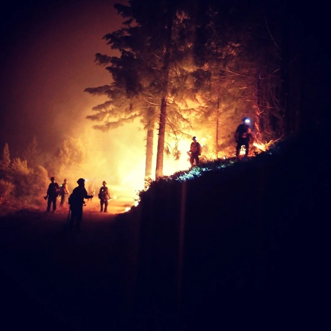 Firefighters battling a forest fire at night, with flames and smoke illuminating the trees and surrounding area.