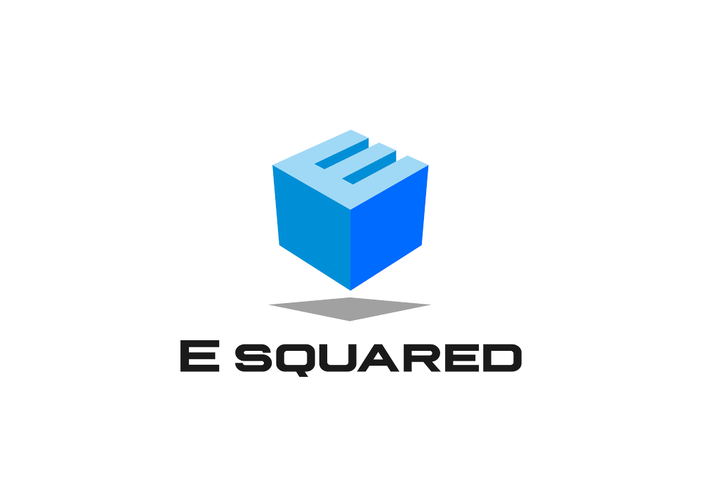E Squared Capital | Explore Top Investment Opportunities
