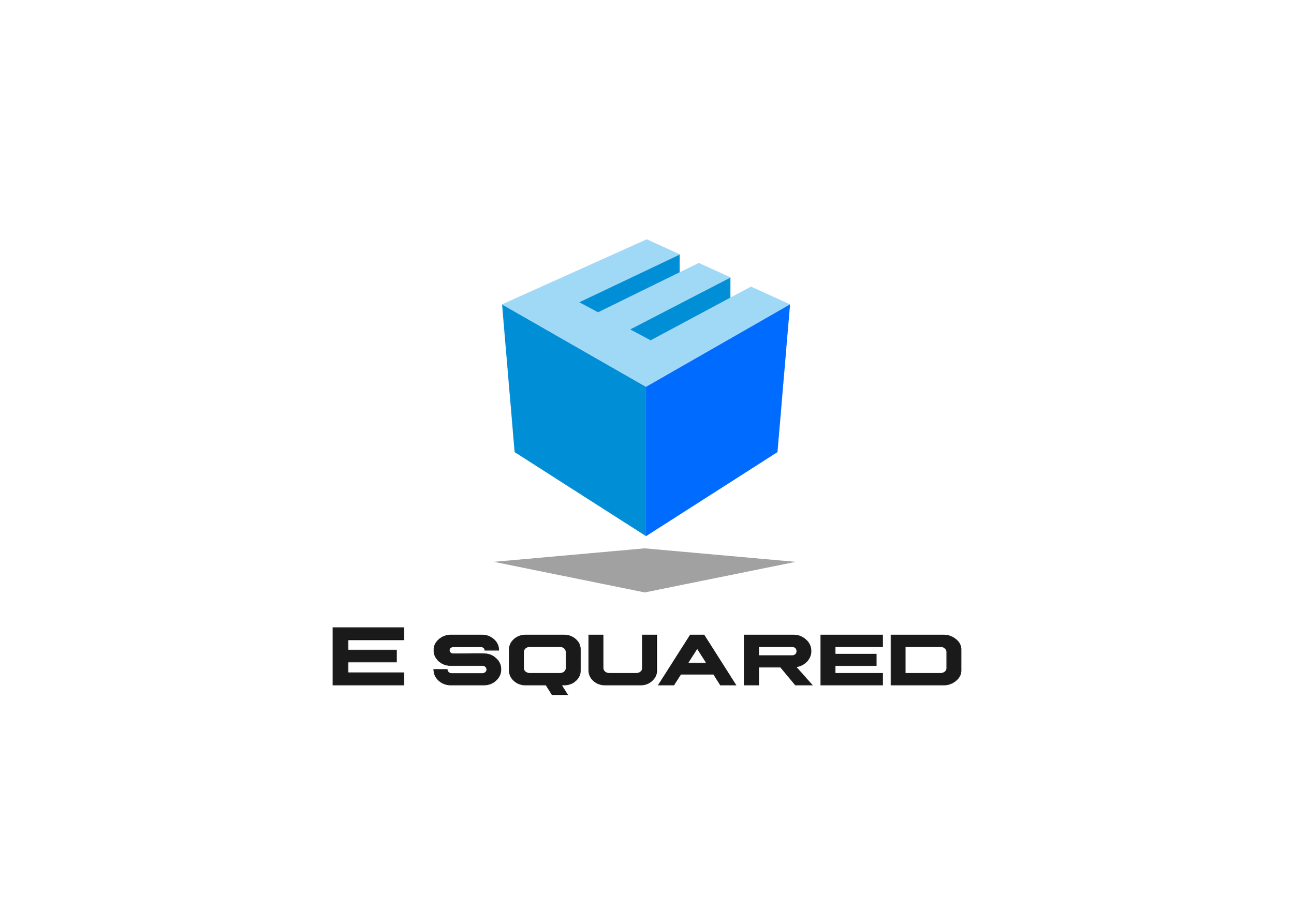 E Squared Capital | Explore Top Investment Opportunities