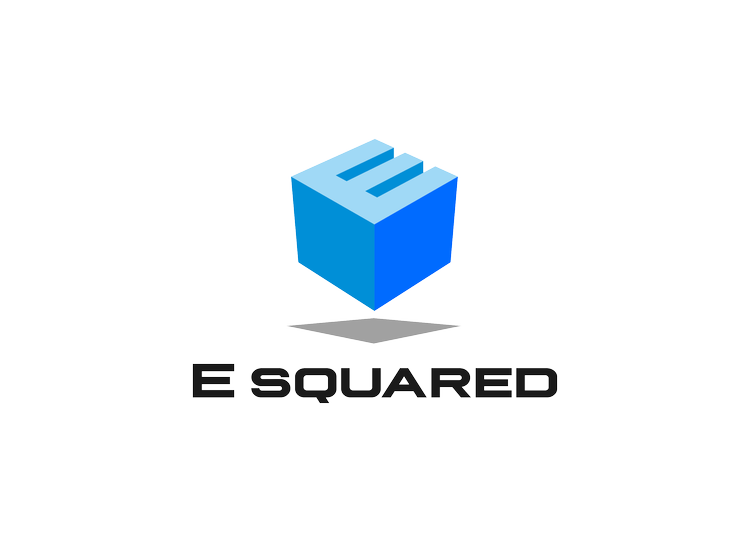 E Squared Capital | Explore Top Investment Opportunities