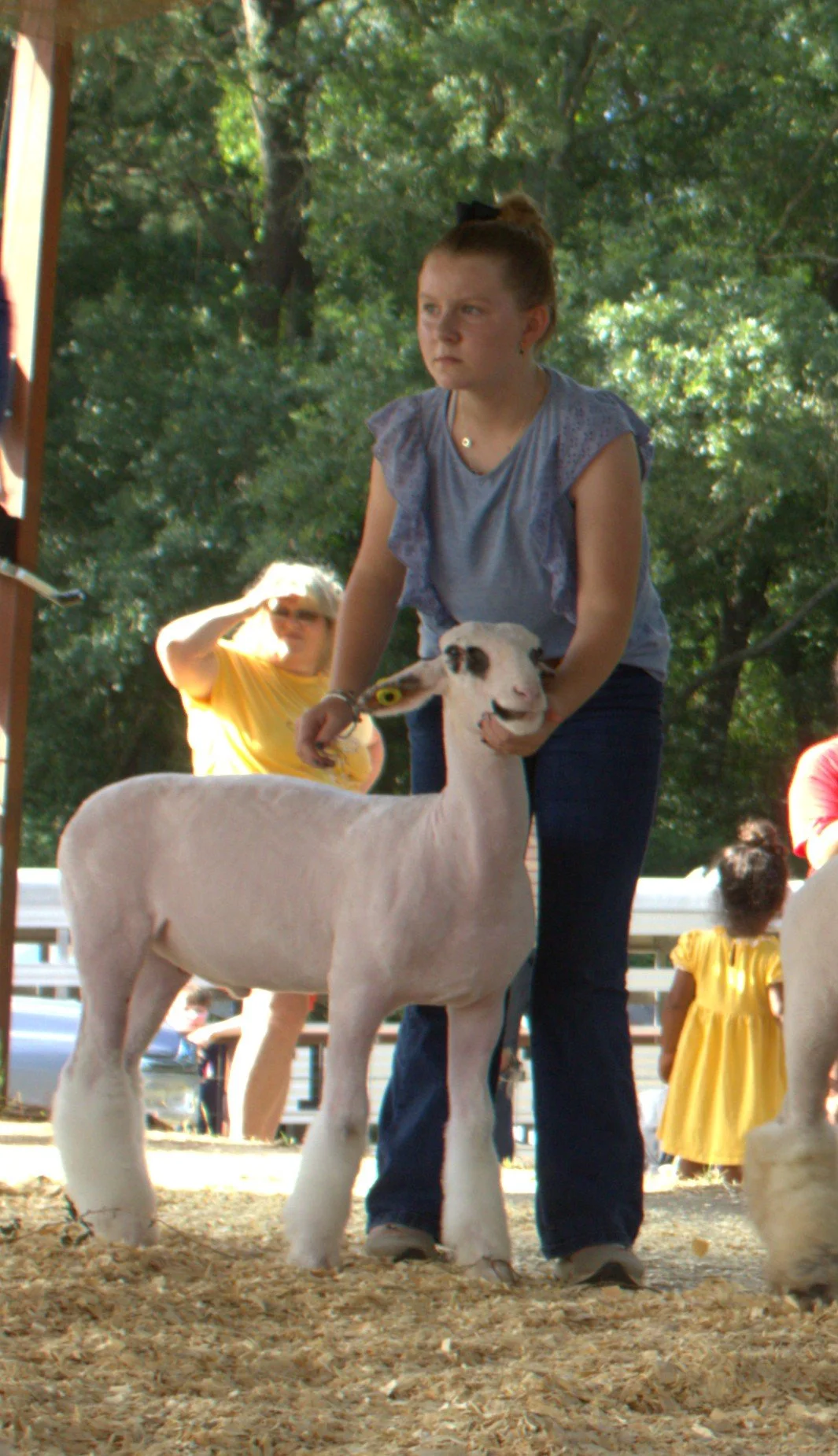 IMG_3252.jpg