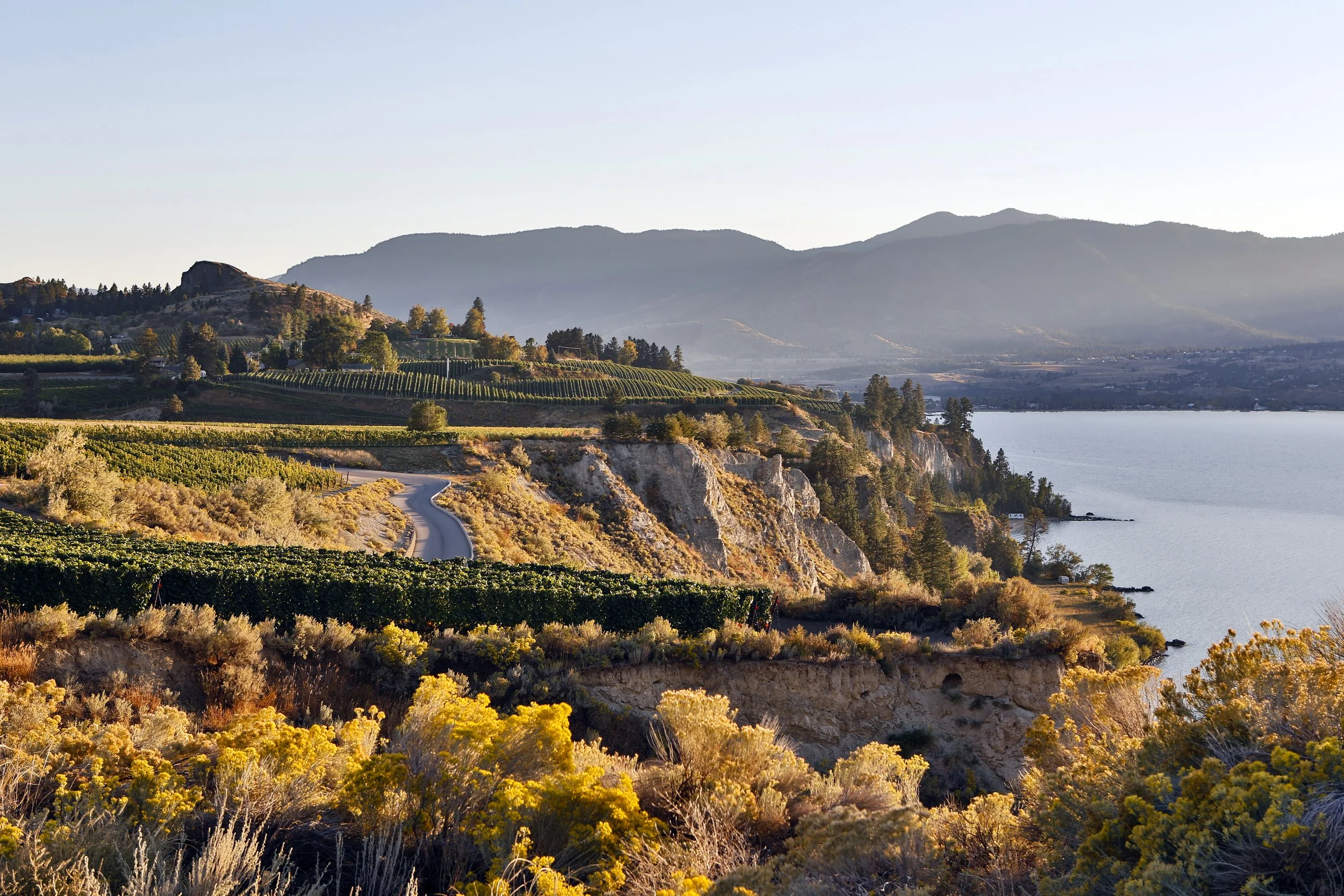 Northlight Wine Collective Acquires Meyer Family Vineyards and Mayhem Wines