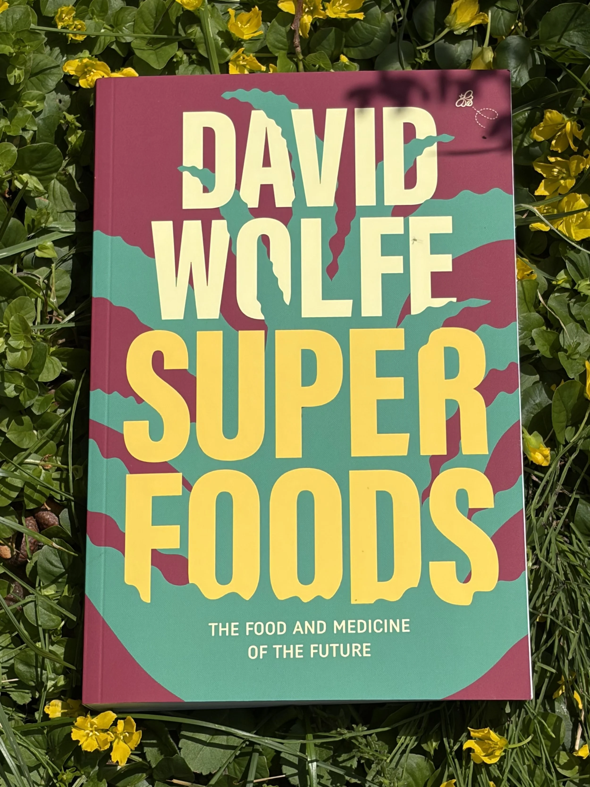 David Wolfe Superfoods Book  (New 2026 version)