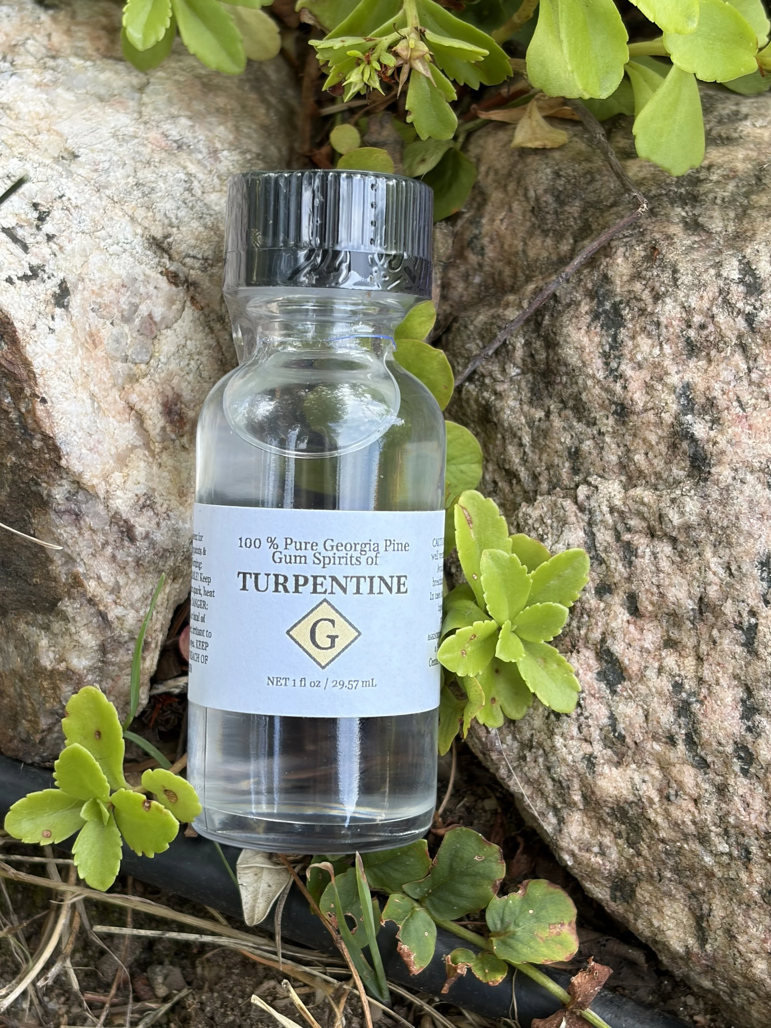 Pine Turpentine