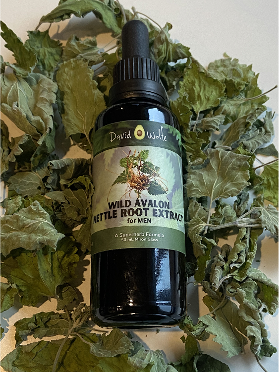 Nettle Root Tincture for Men