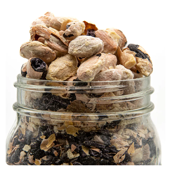 NoniLand Freeze-Dried Cacao Beans with Pulp