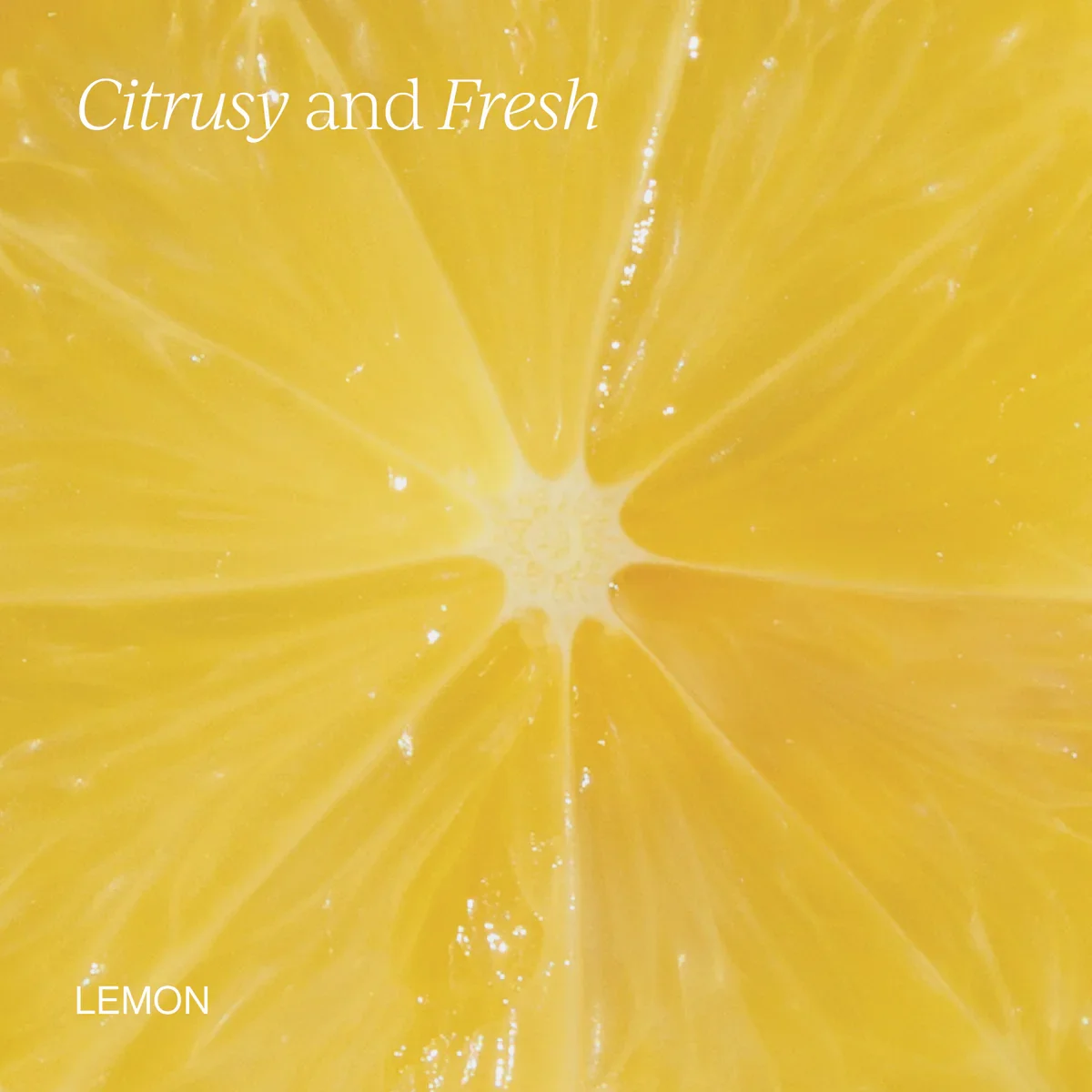 The Omega Cym_Web_NewPDP_Omega_OmegaFlavor.webp