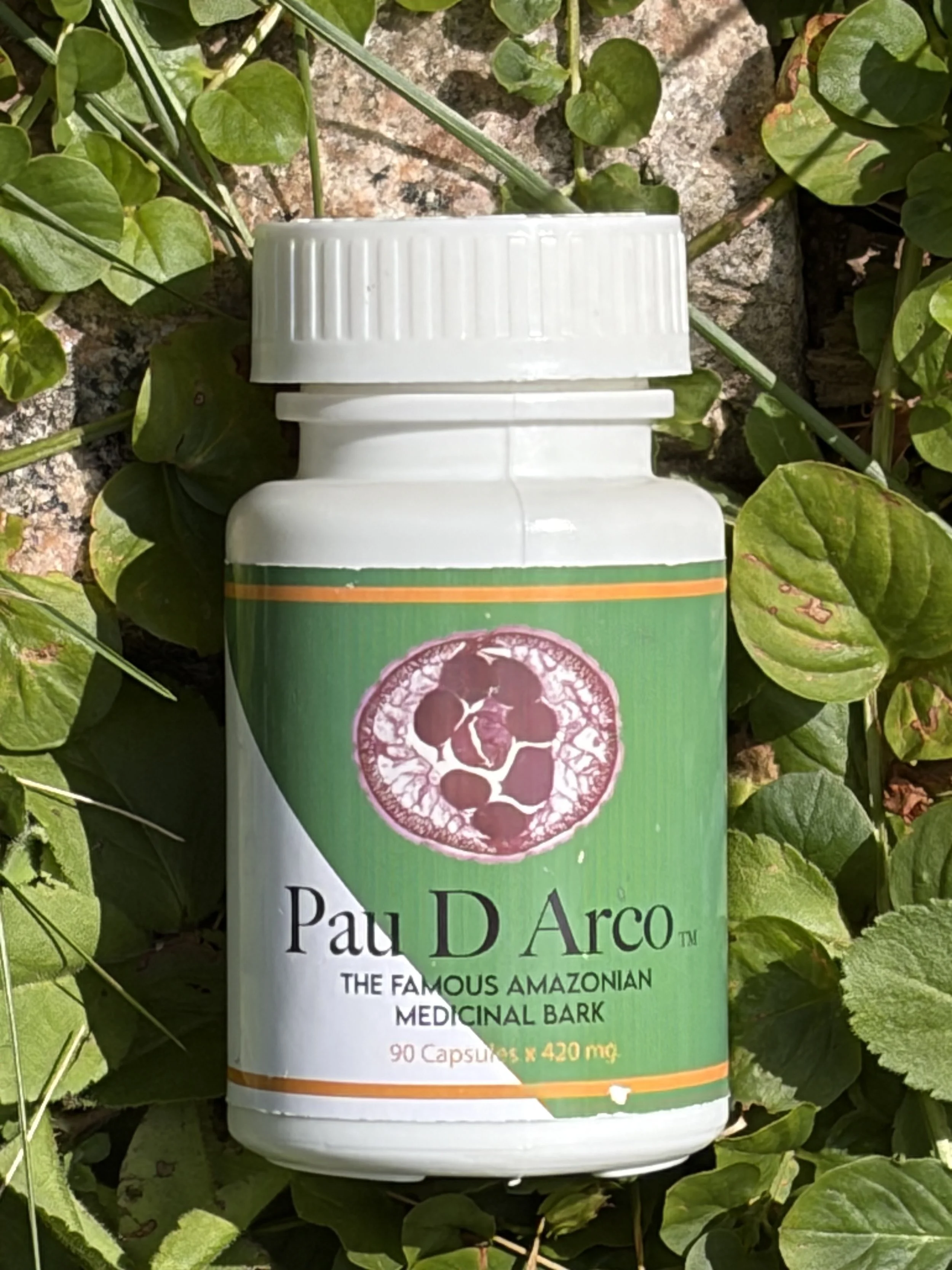 Pau D Arco  90 caps