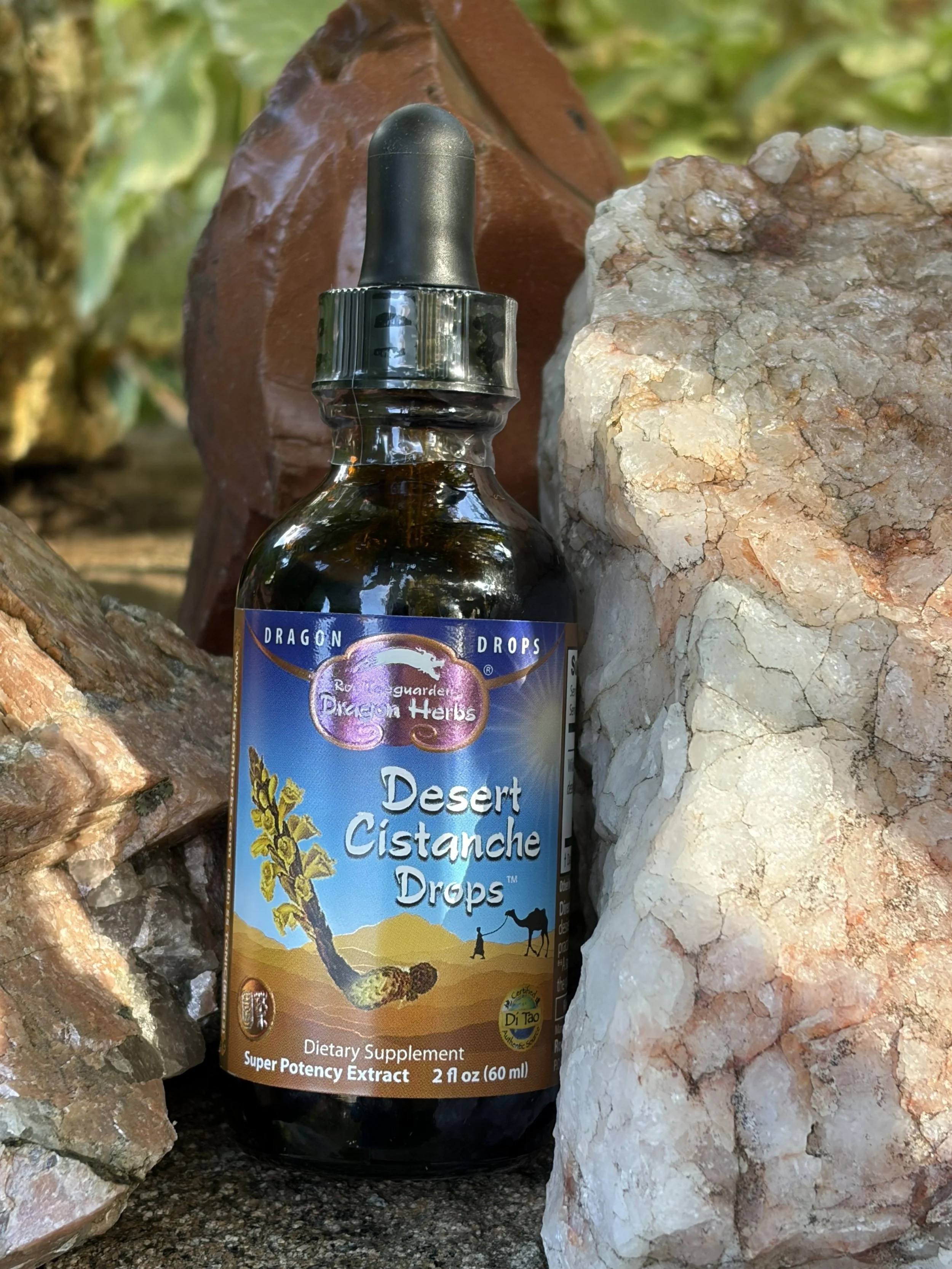 Desert Cistanche