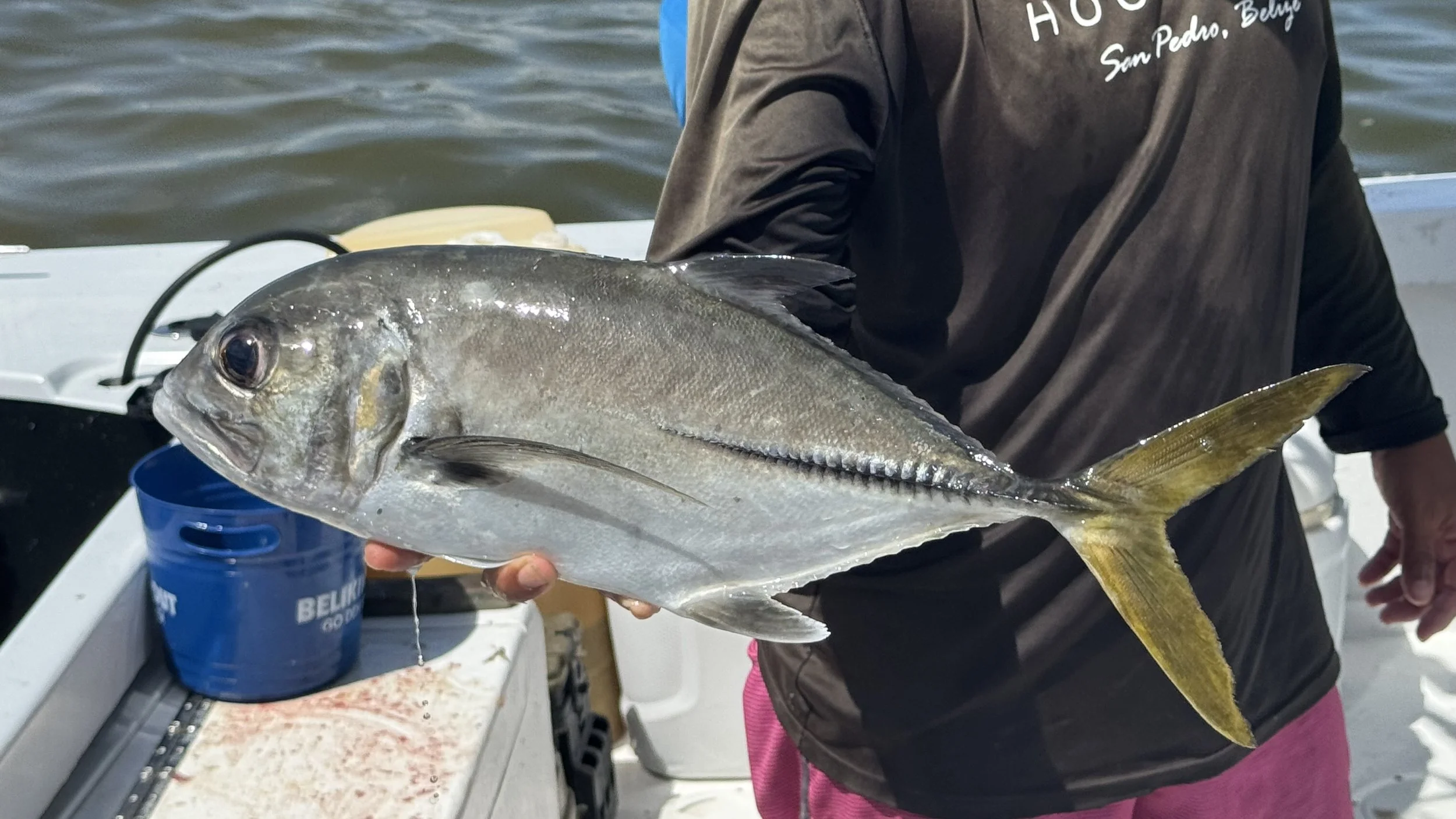 Person holding a large fish on a boat, with water in the background.