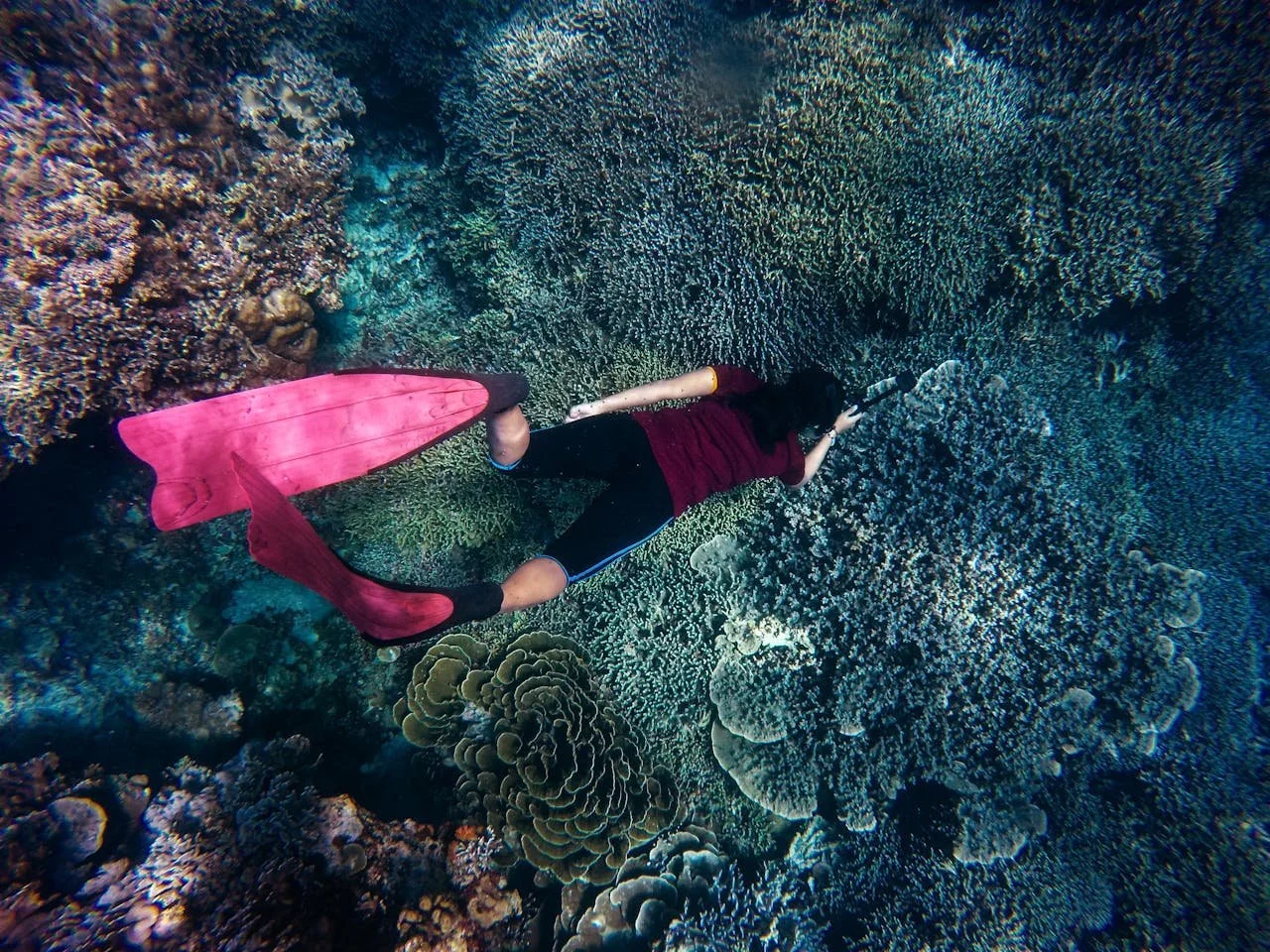 Person snorkeling in a coral reef with a pink fin and a snorkeling mask, surrounded by vibrant coral formations.