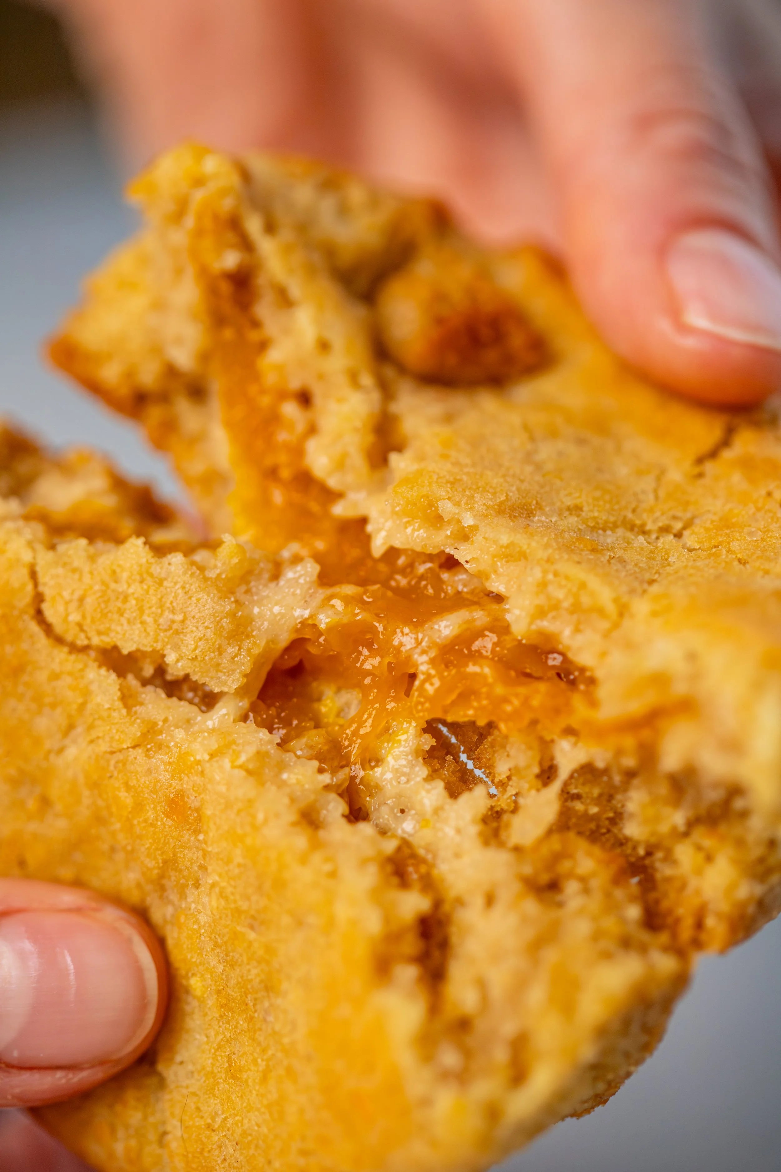 Cookie Exotique