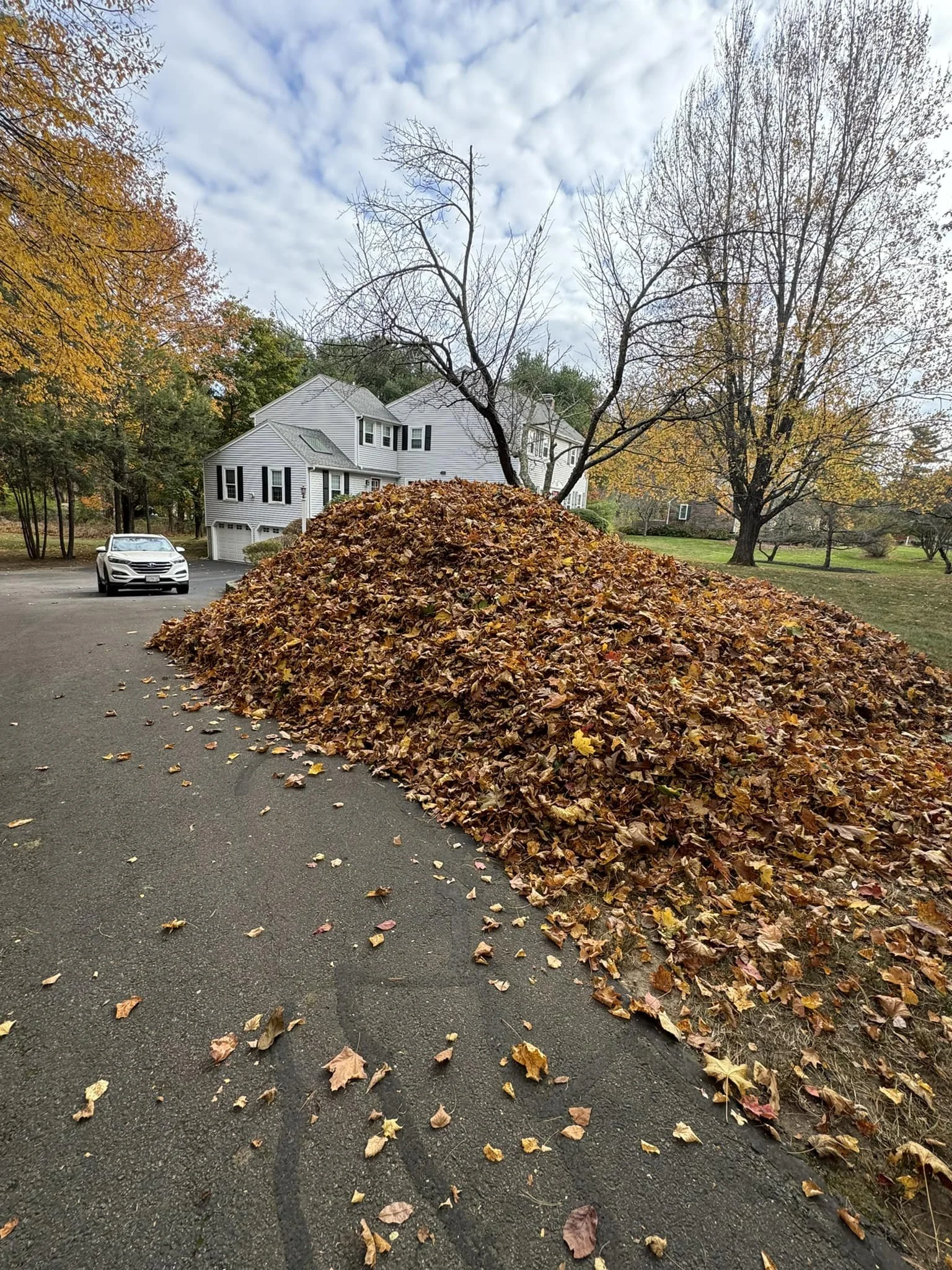 A large pile of fallen autumn leaves on a driveway with a white house and leafless trees in the background under a partly cloudy sky.