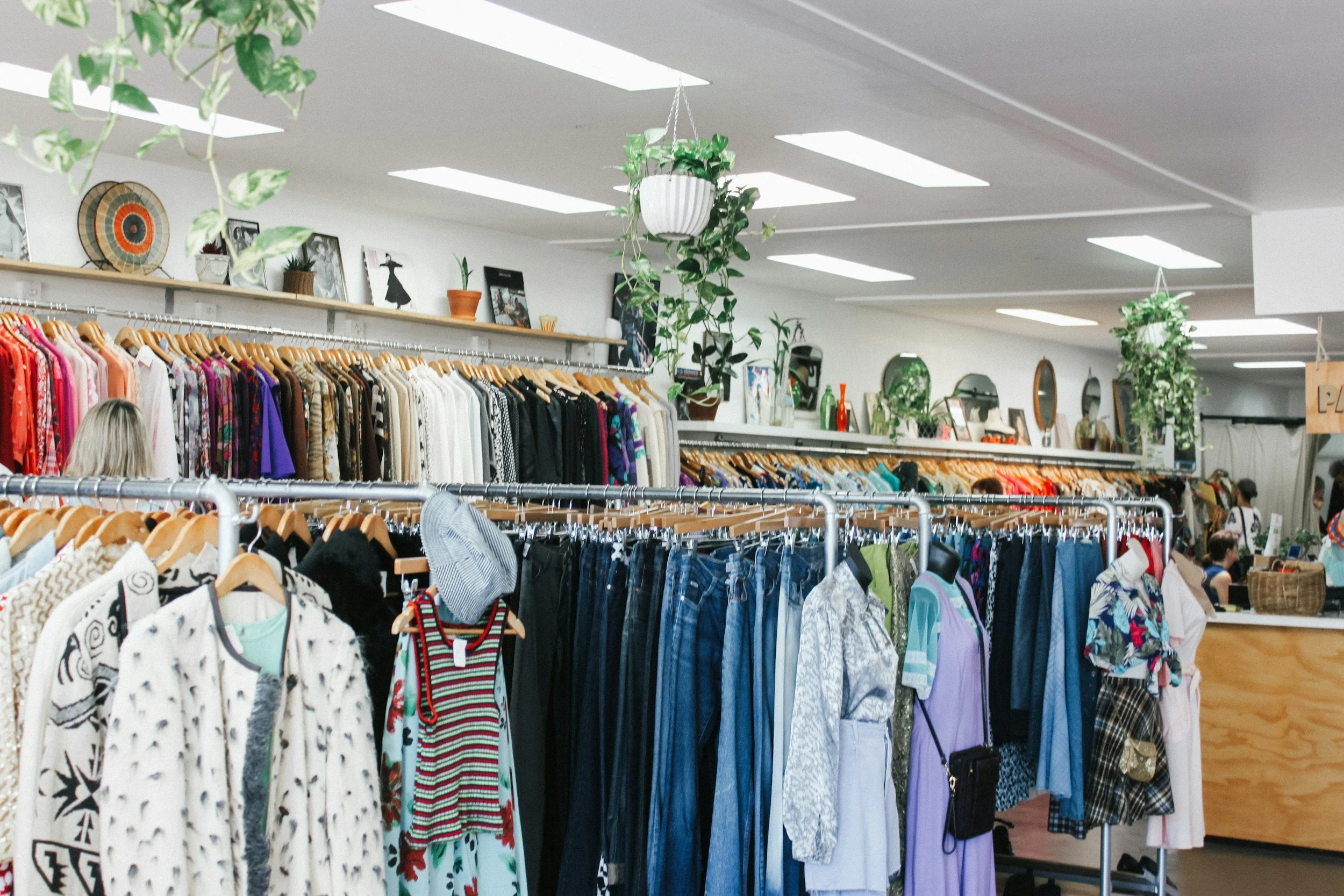 Indoor thrift store with racks of colorful clothing, and plants hanging from the ceiling.