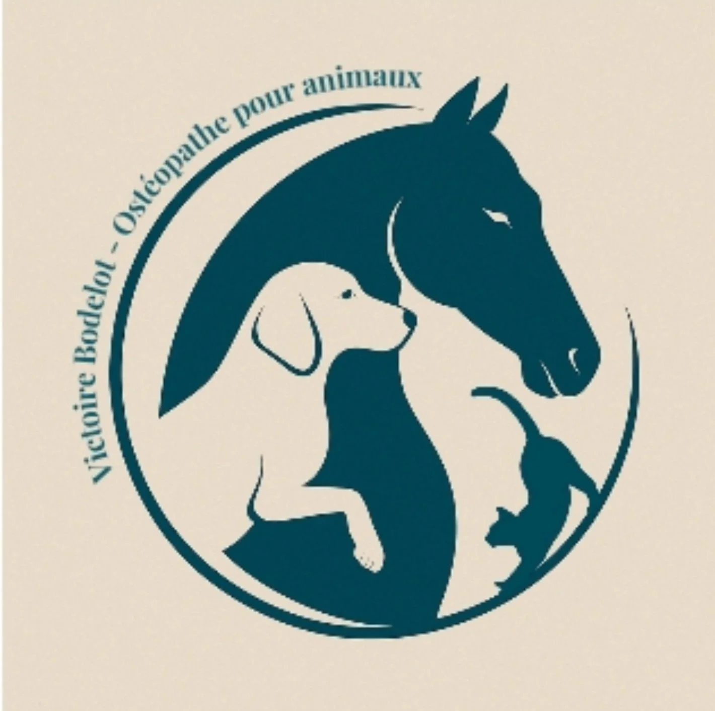 Logo de l'organisme Vichère Bocqeur - Ostopallie pour animaux, avec une illustration de deux chiens, un grand et un petit.