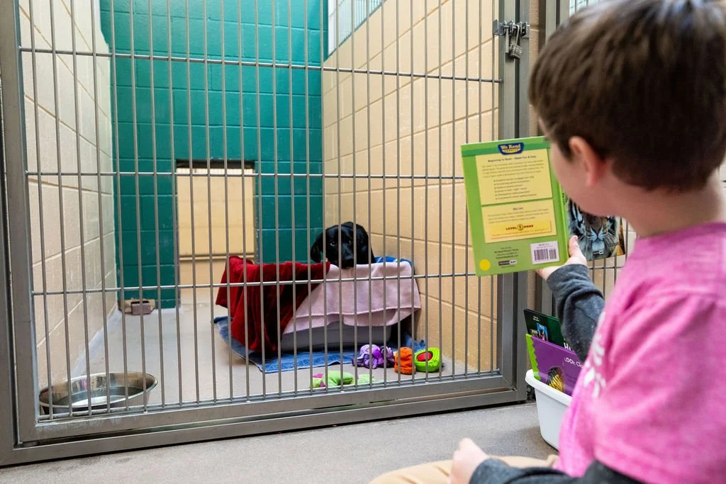A young boy, wearing a pink shirt, reads a book outside a pet cage containing a black puppy with a red blanket, food and toys inside.