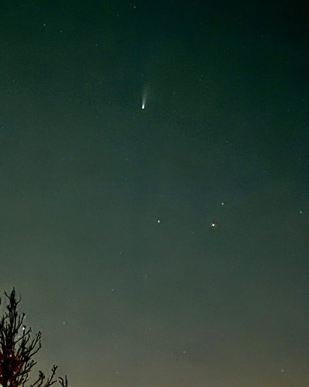 Comet C/2025 A6 (Lemmon) just after sunset tonight in the western sky! 

#comet #cometlemmon