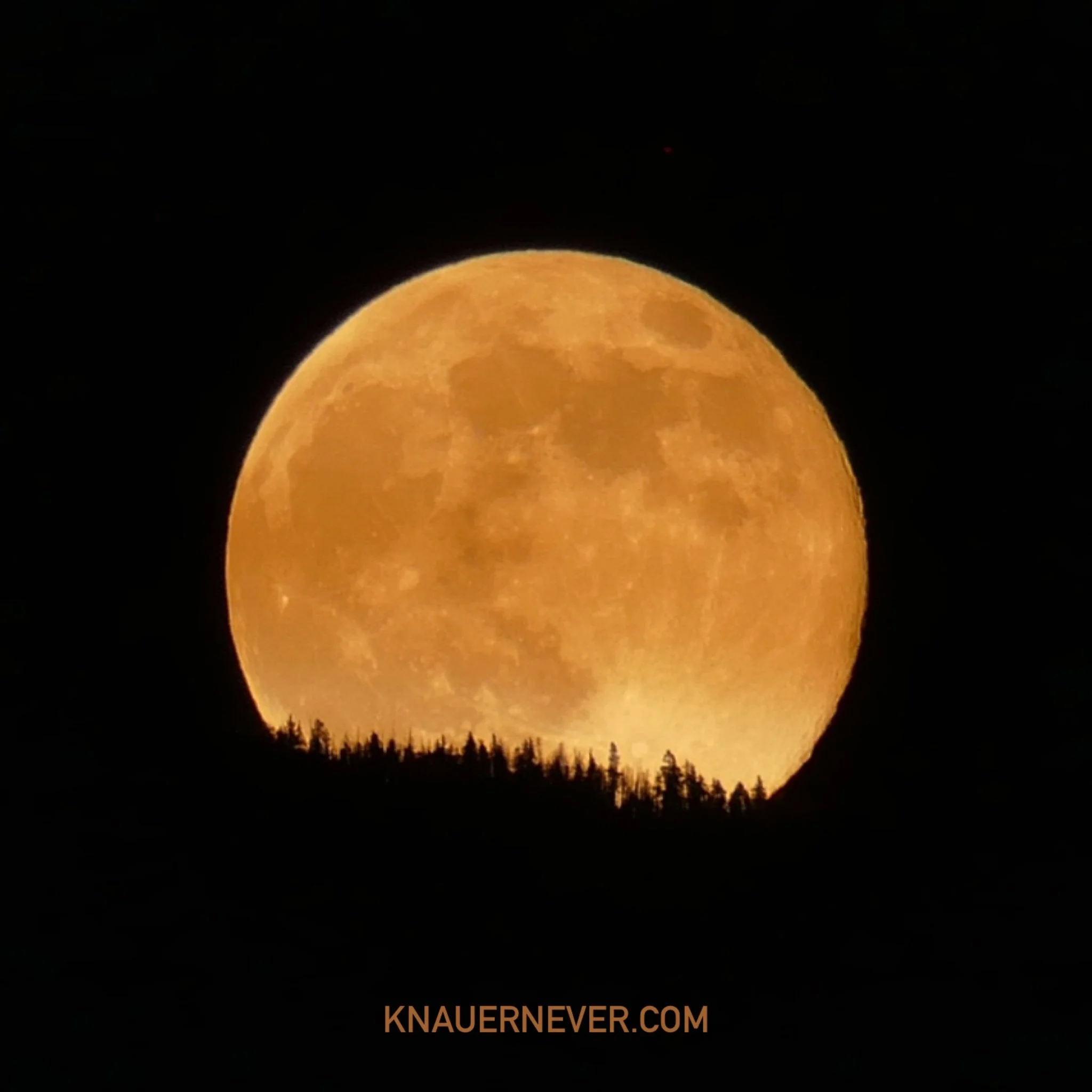Full Beaver Super Moon 🦫 rising over Santa Fe, NM mountains.