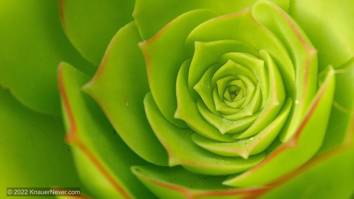 Learning to Notice What’s Already There