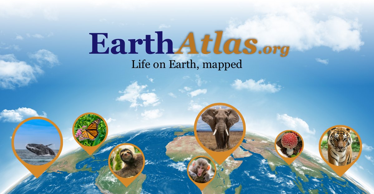 Life on Earth and Near You, Mapped