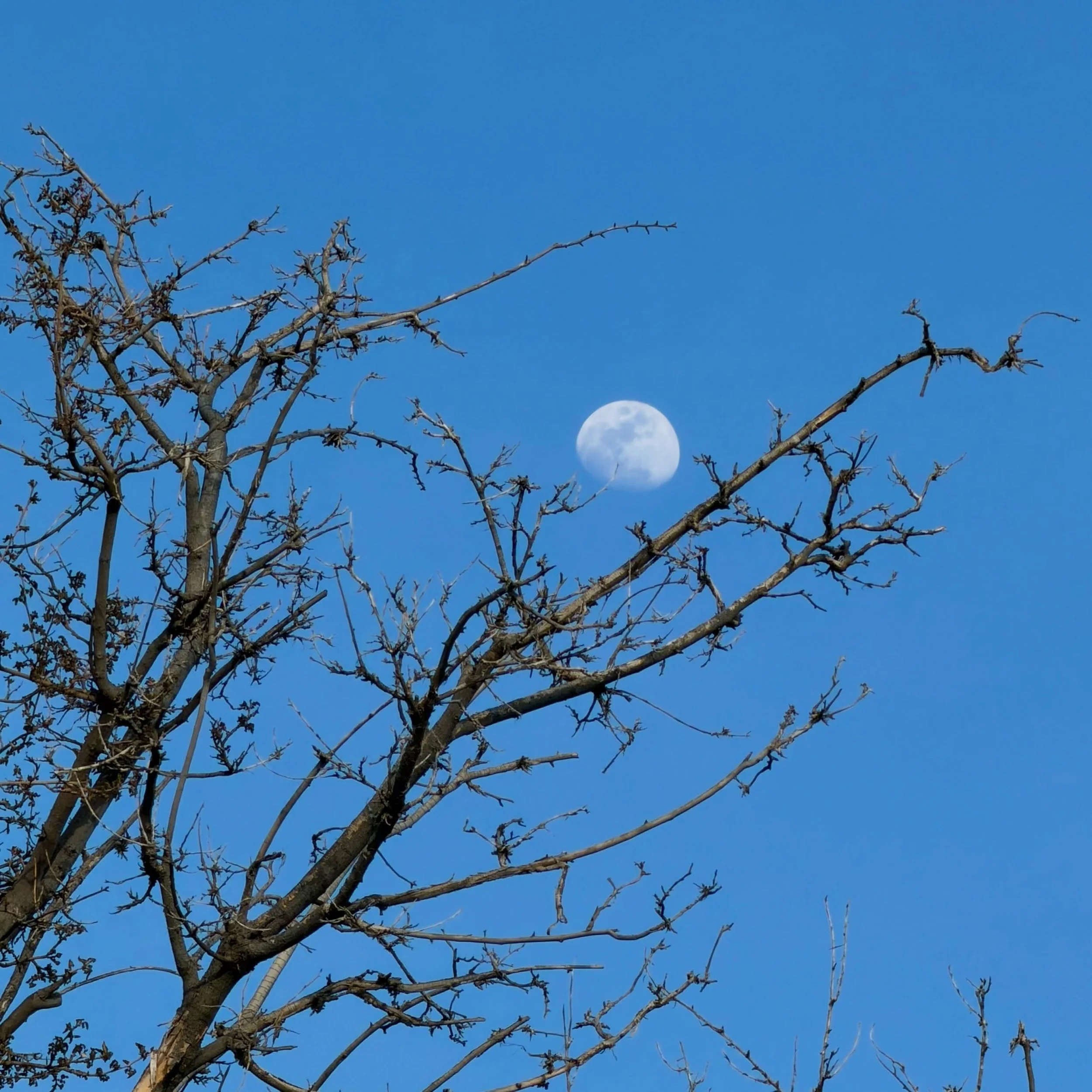Moonshot in Santa Fe