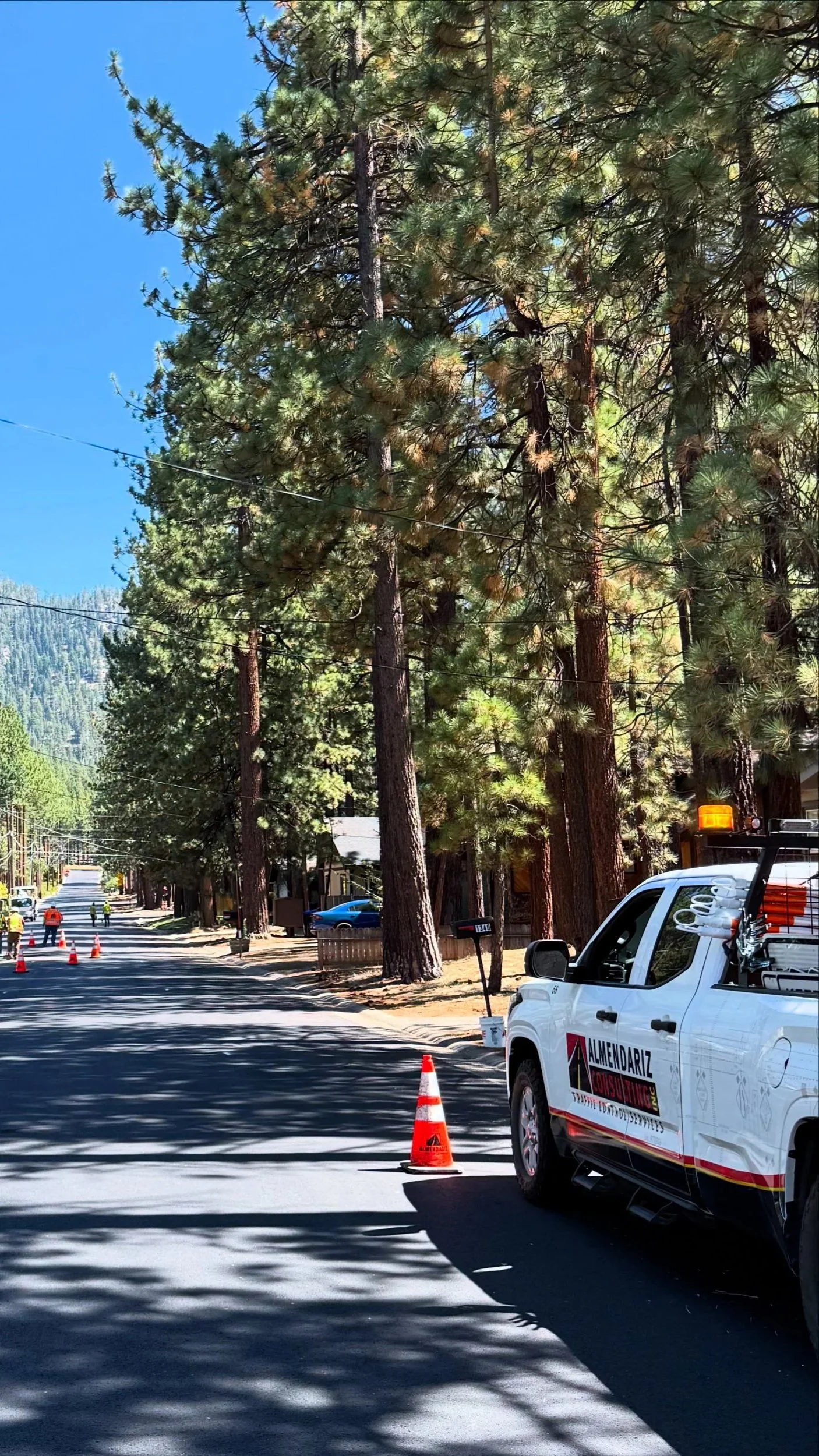 A street lined with tall pine trees under a bright blue sky. A construction vehicle parked on the side of the road with cones around it and workers in the distance.