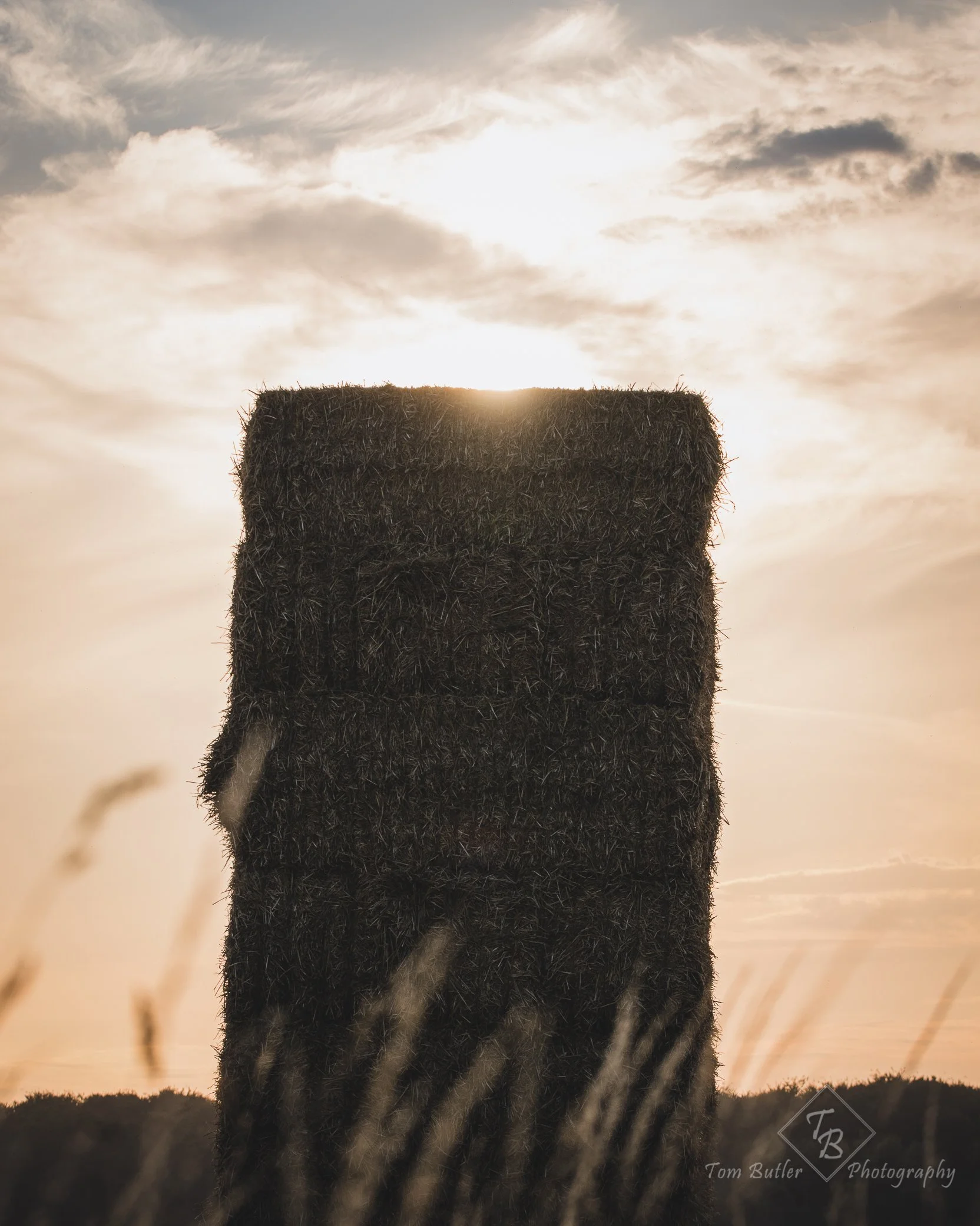 The Application and Fallacies of Attracting Private Finance into  Nature