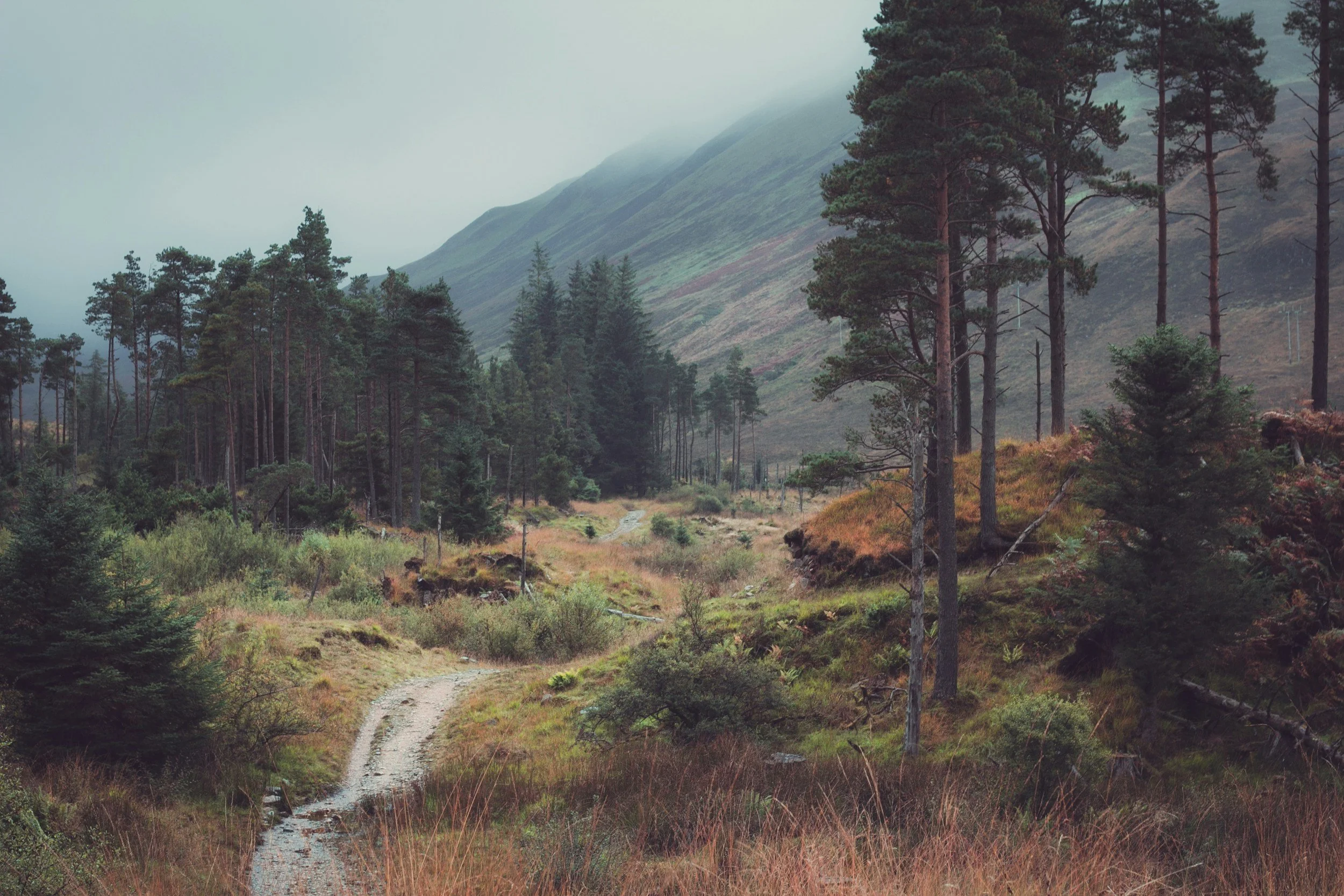 unsplash-image-9qYYCvMpi1Q.jpg