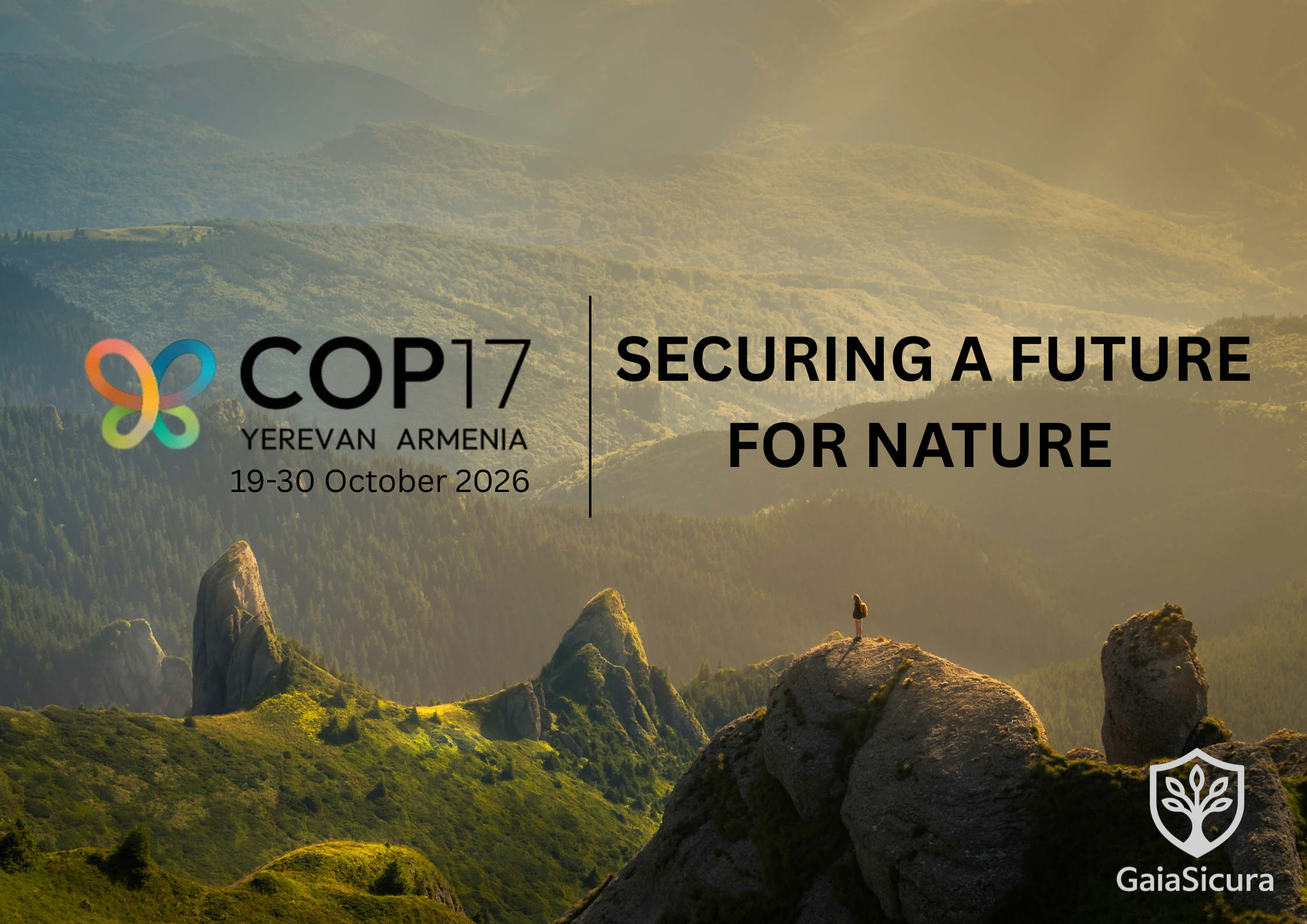 Insurance and the Global Biodiversity Framework  