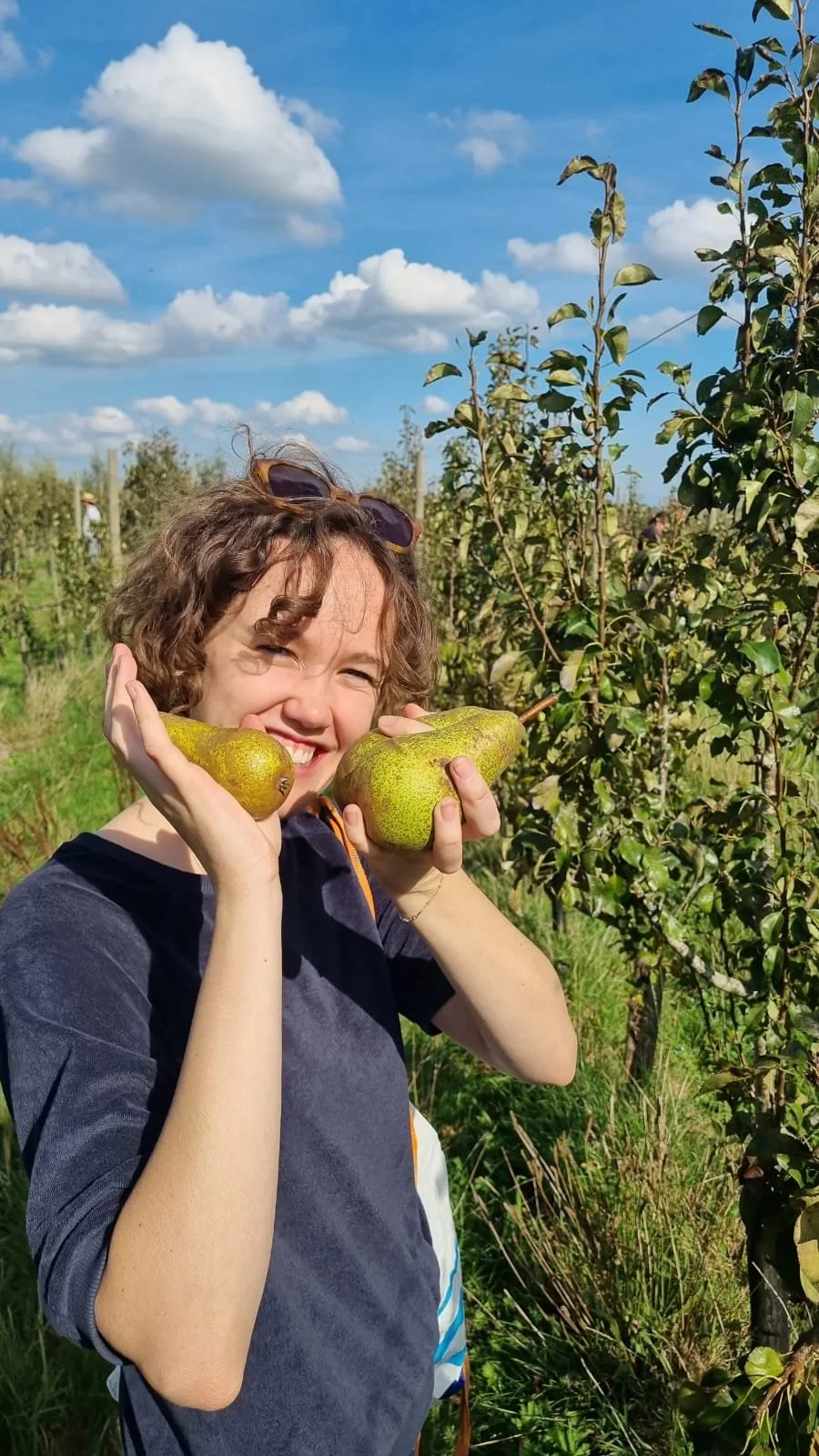 A young woman with curly hair smiling and holding two pears near her face in a sunny orchard with blue skies and scattered white clouds.