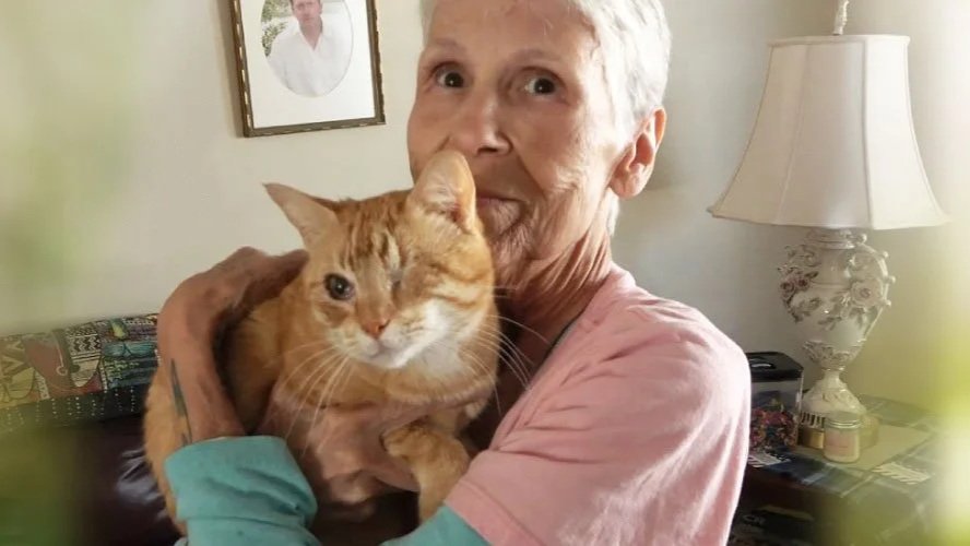 Kickball, kittens, and a lifetime of service