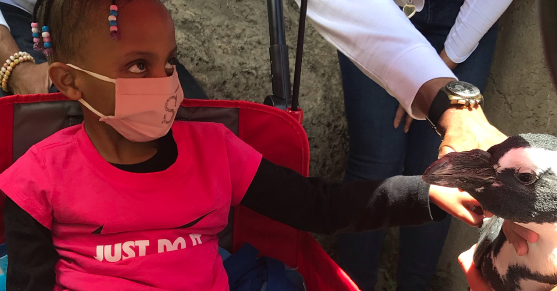 A wild dream comes true