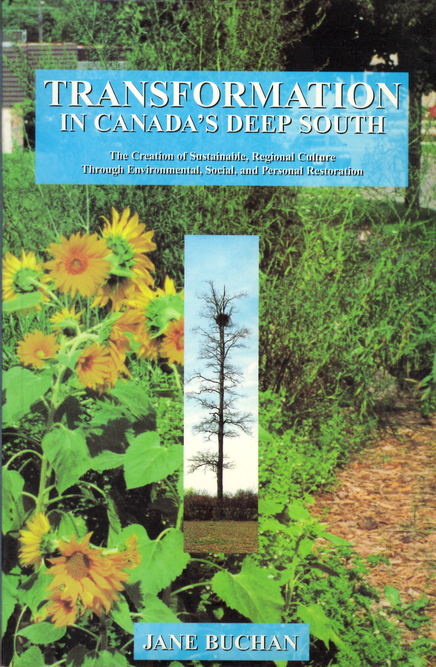 jane-buchan-transformation-in-canadas-deep-south.png