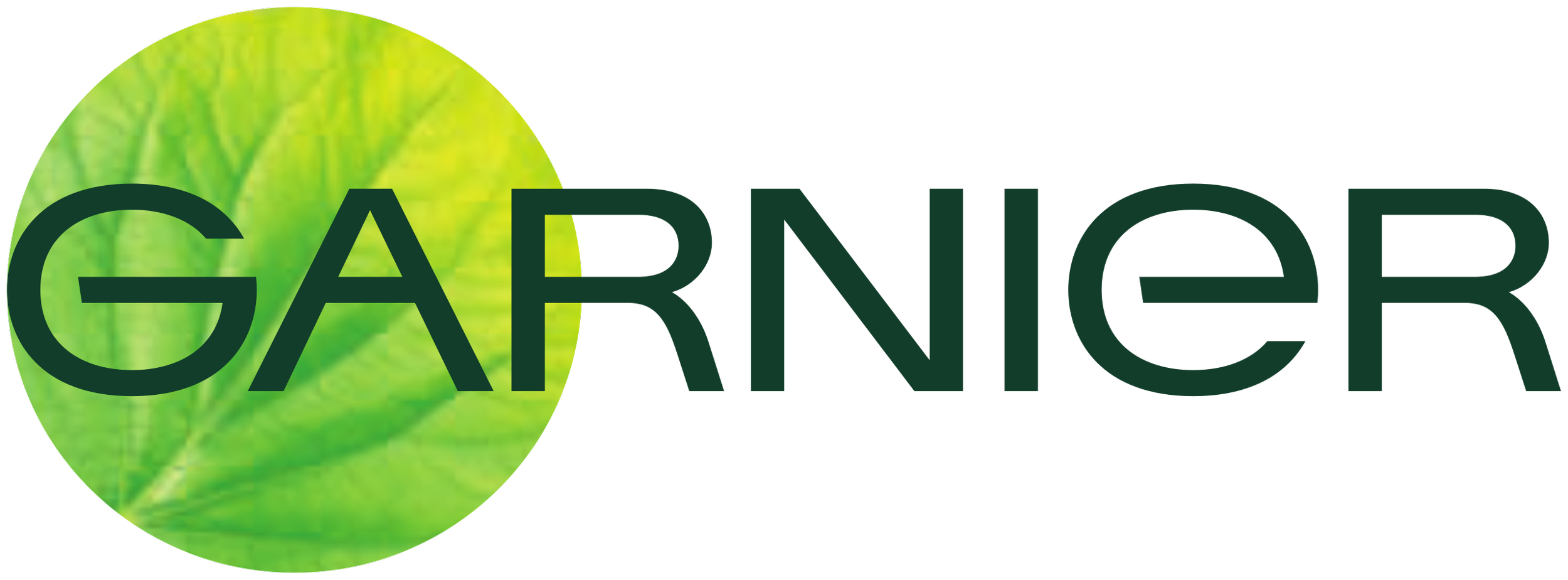 Garnier-Logo.svg.png