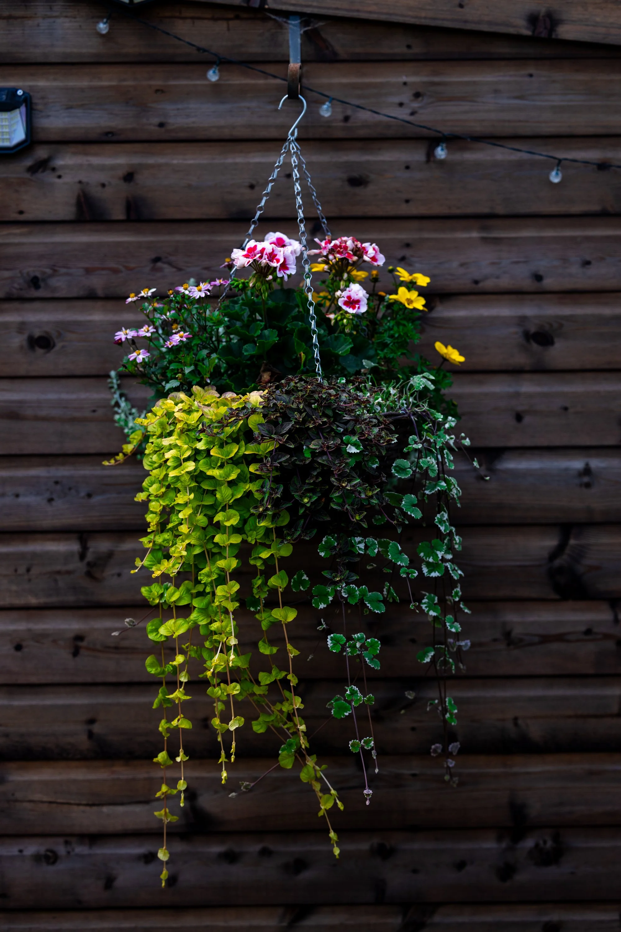 The Snug & River Hideaway-05.jpg