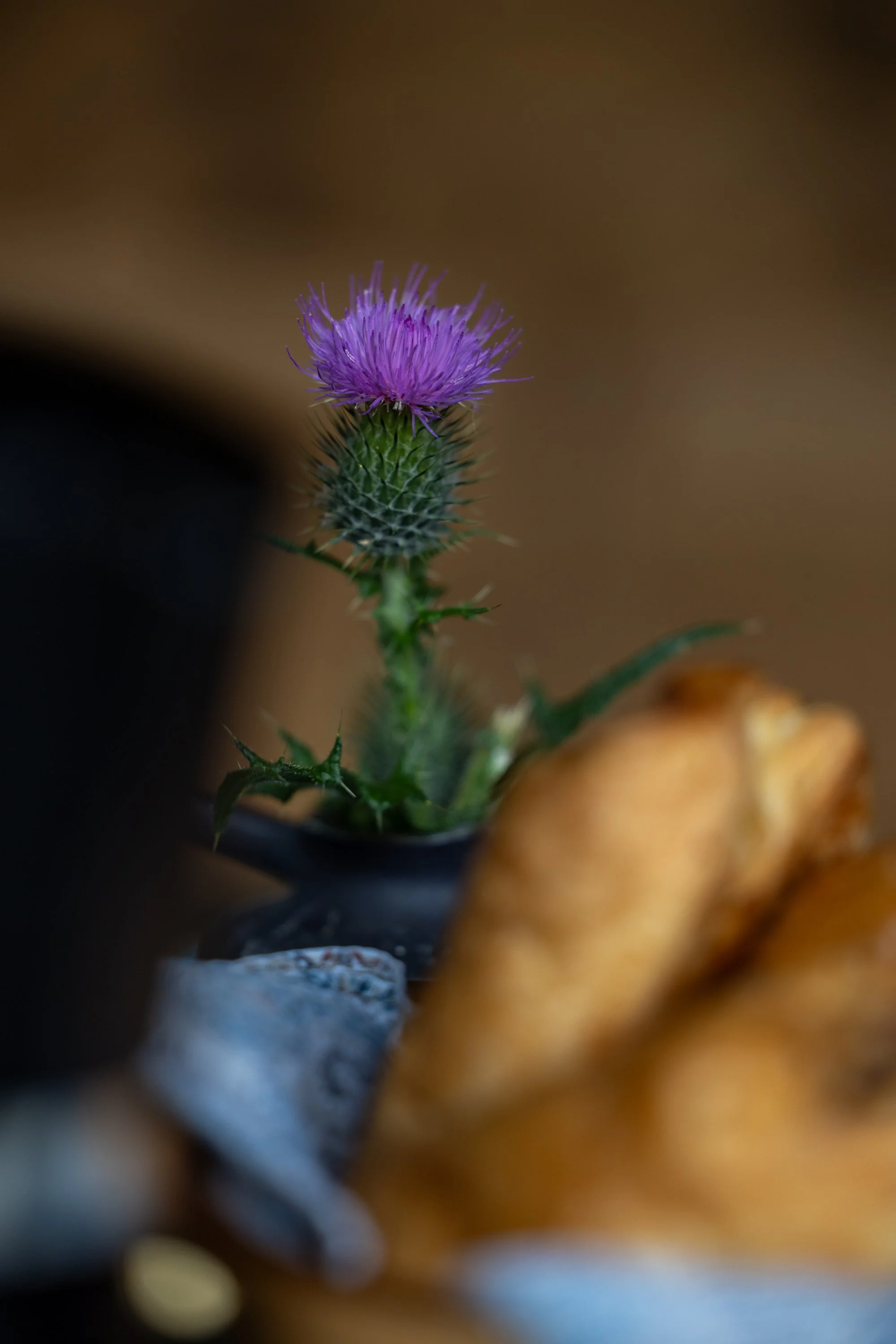 The Snug & River Hideaway-20.jpg