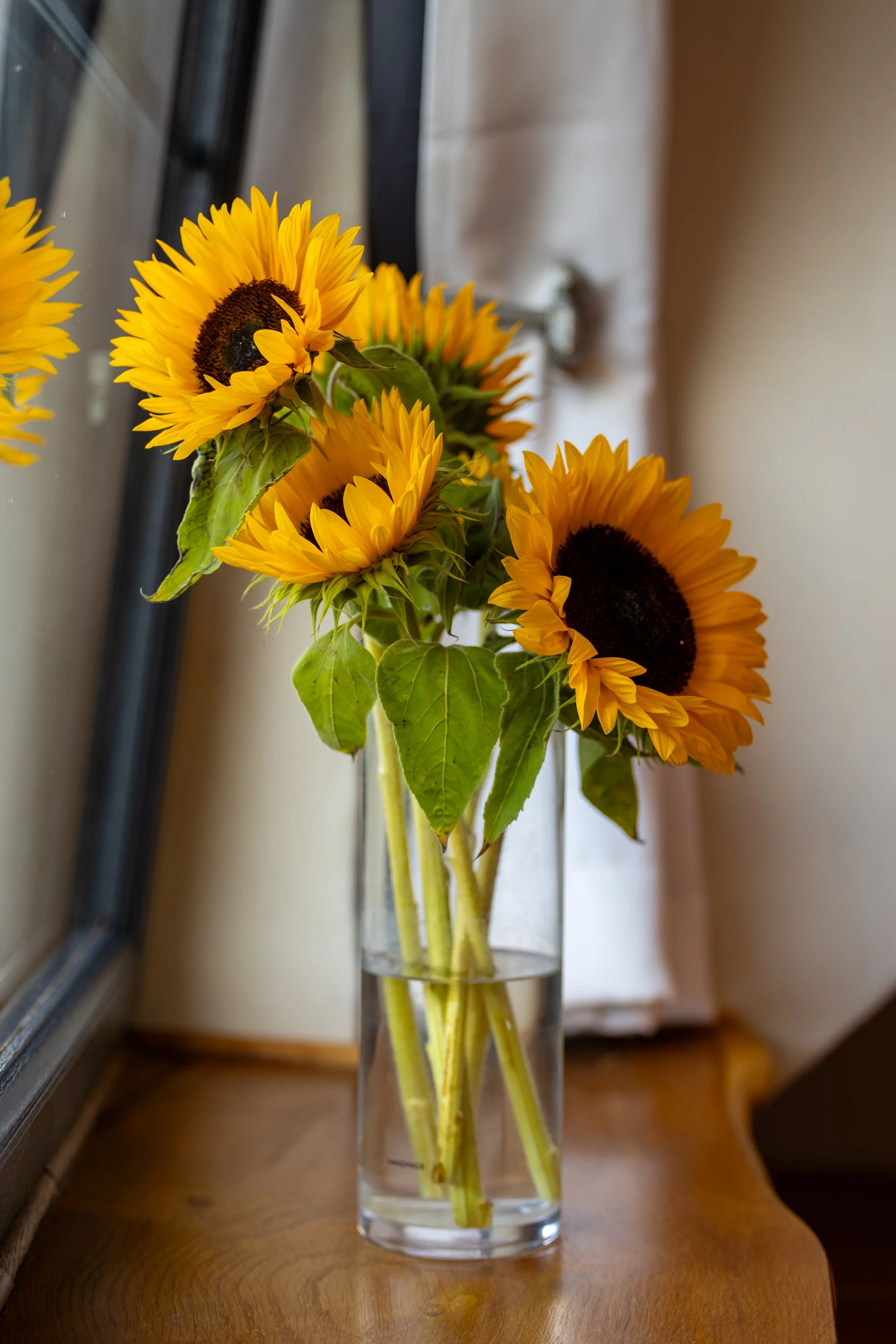 The Snug & River Hideaway-60.jpg