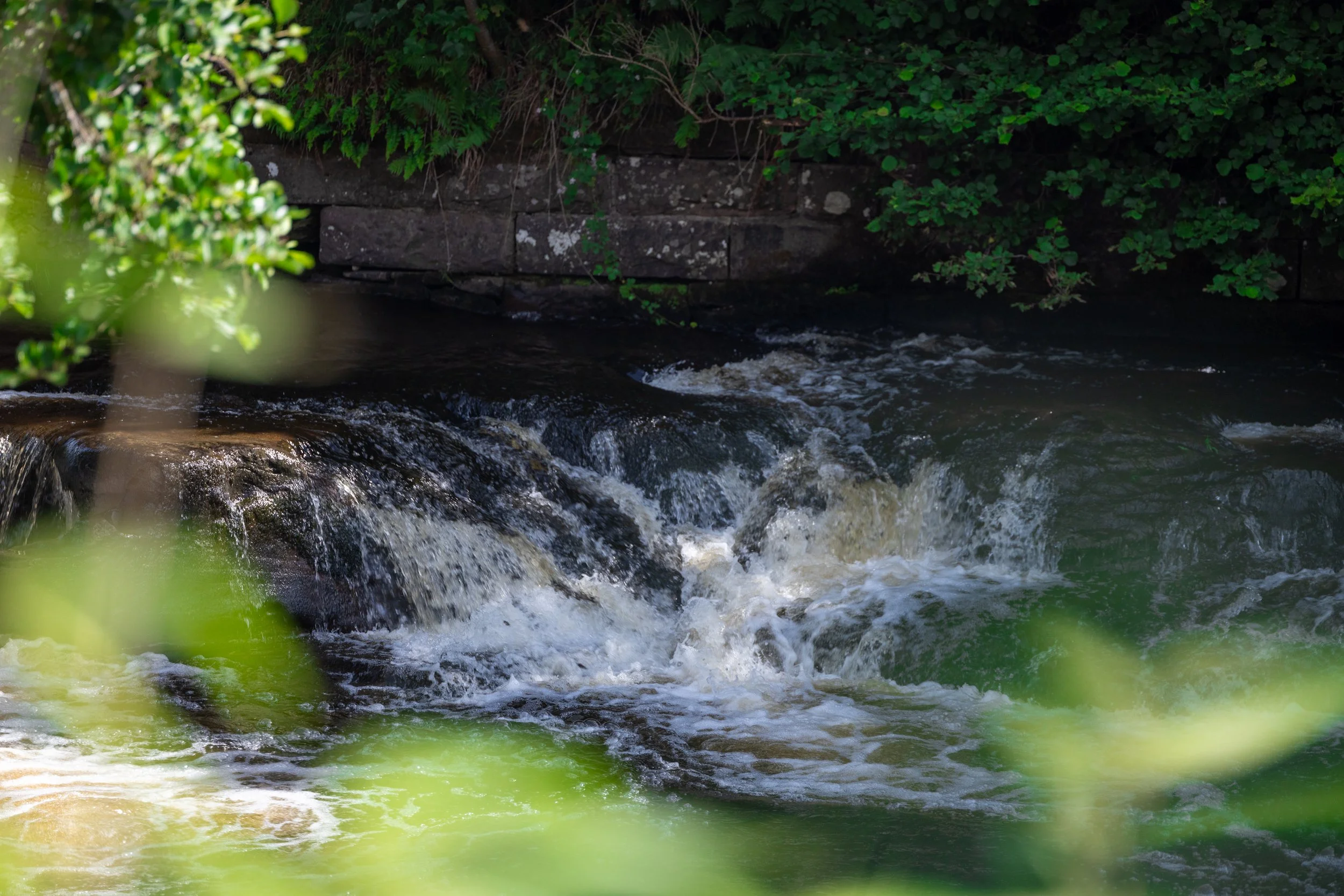 The Snug & River Hideaway-08.jpg