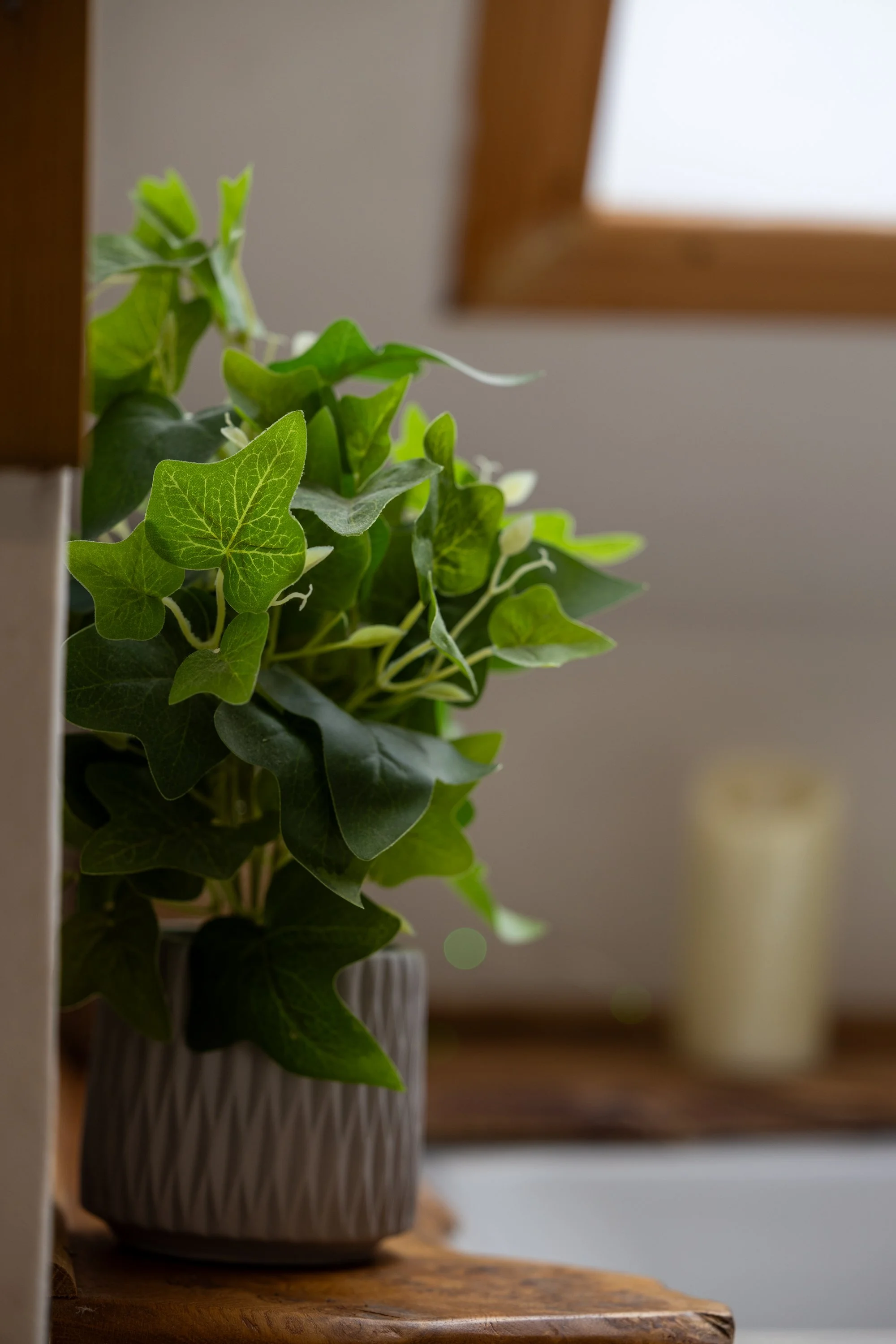 The Snug & River Hideaway-67.jpg