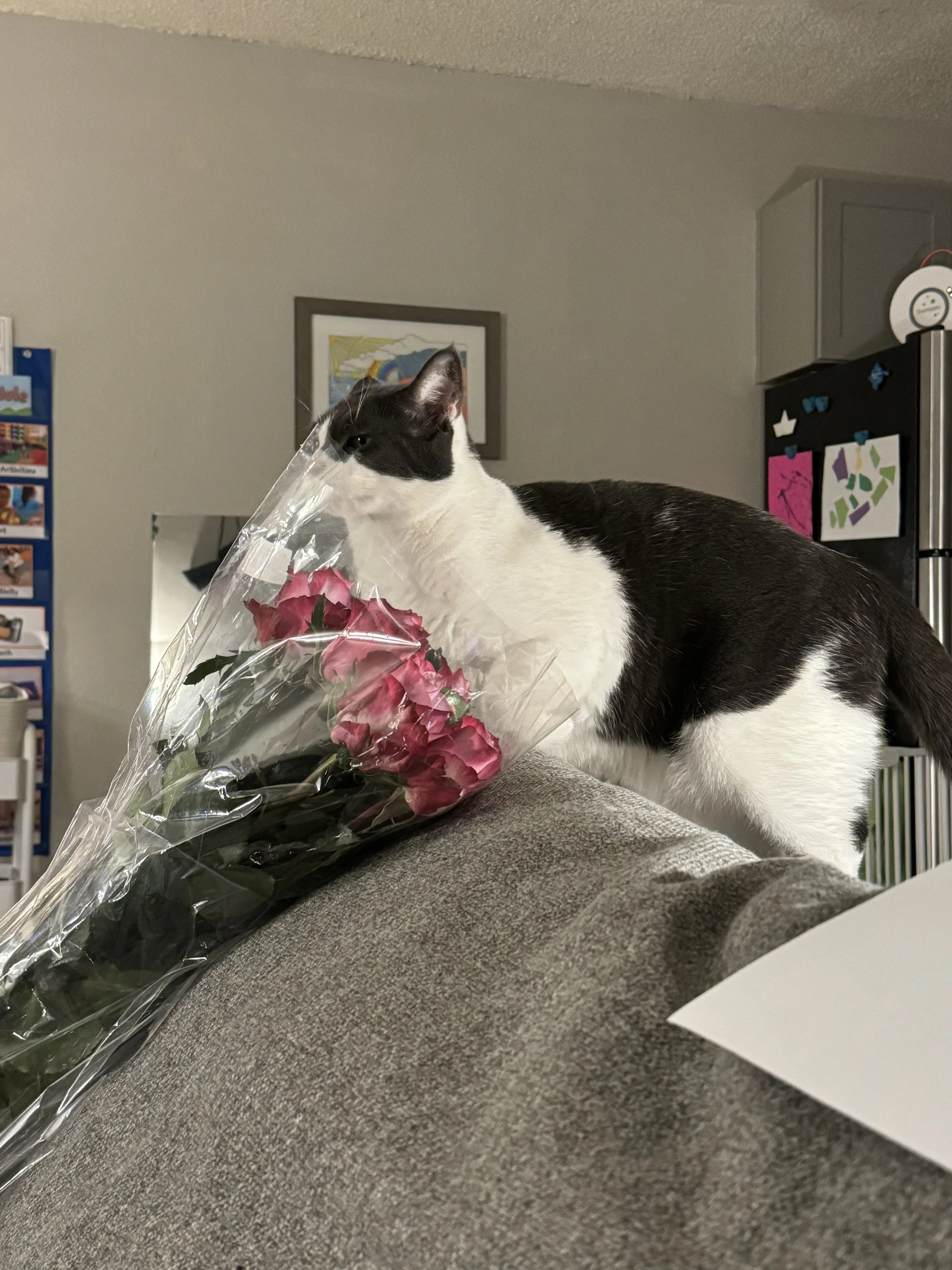 2024_Nov_21_Kyle_Gift_Roses_2.jpg