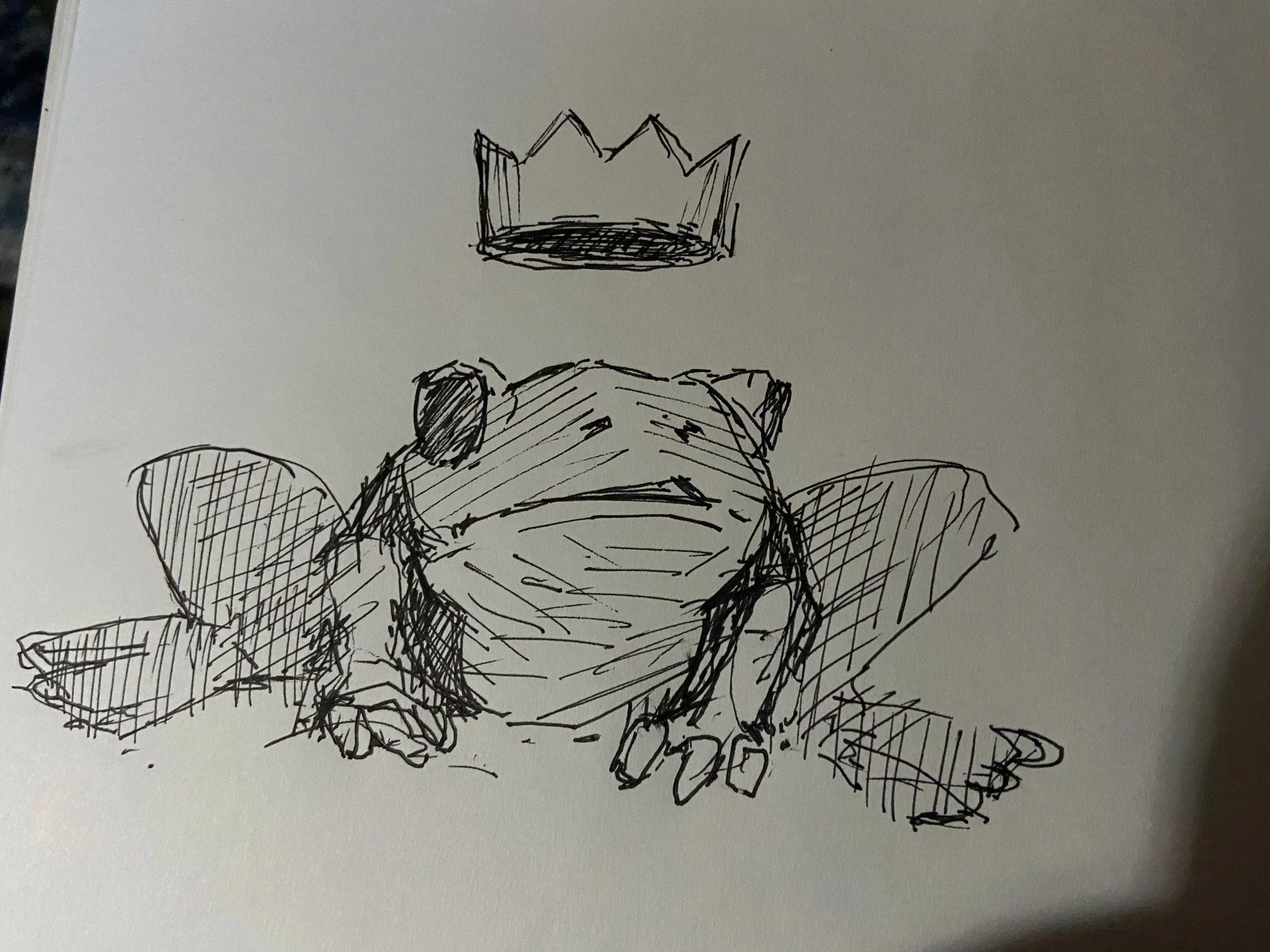 Ink drawing of a frog recovered from a private sketchbook and created one day after the writer’s mother died. The writer’s mother loved frogs.