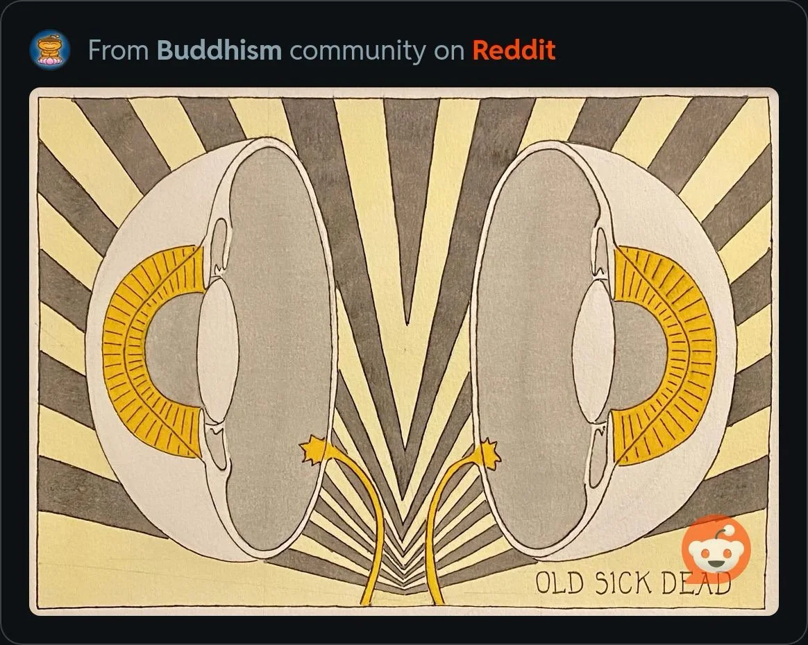Wide artwork depicting two mirrored anatomical cross-sections of human eyes against radiating gray and pale yellow geometric lines.