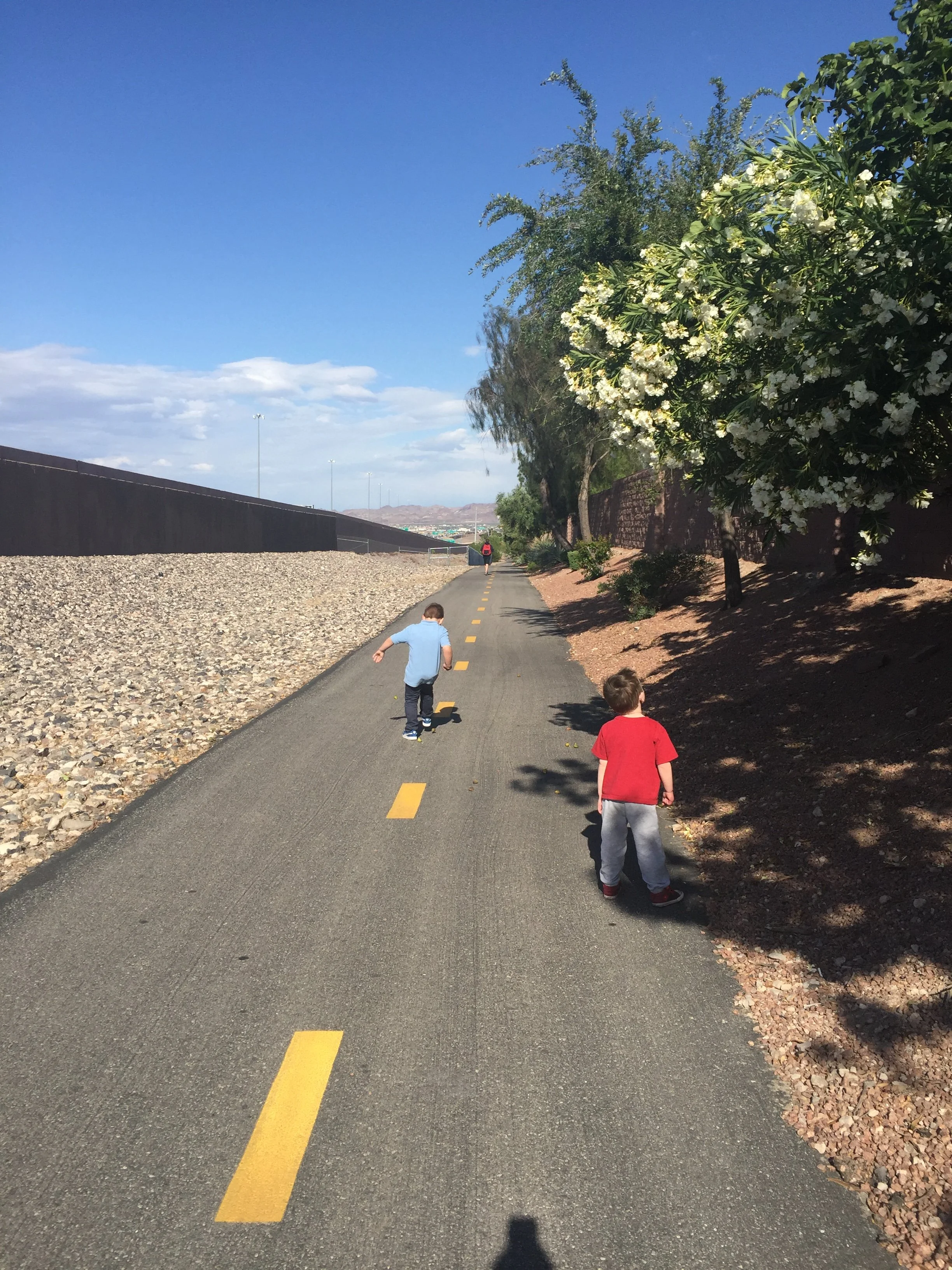 Two young children walking along a paved trail bordered by flowering trees and desert landscaping.